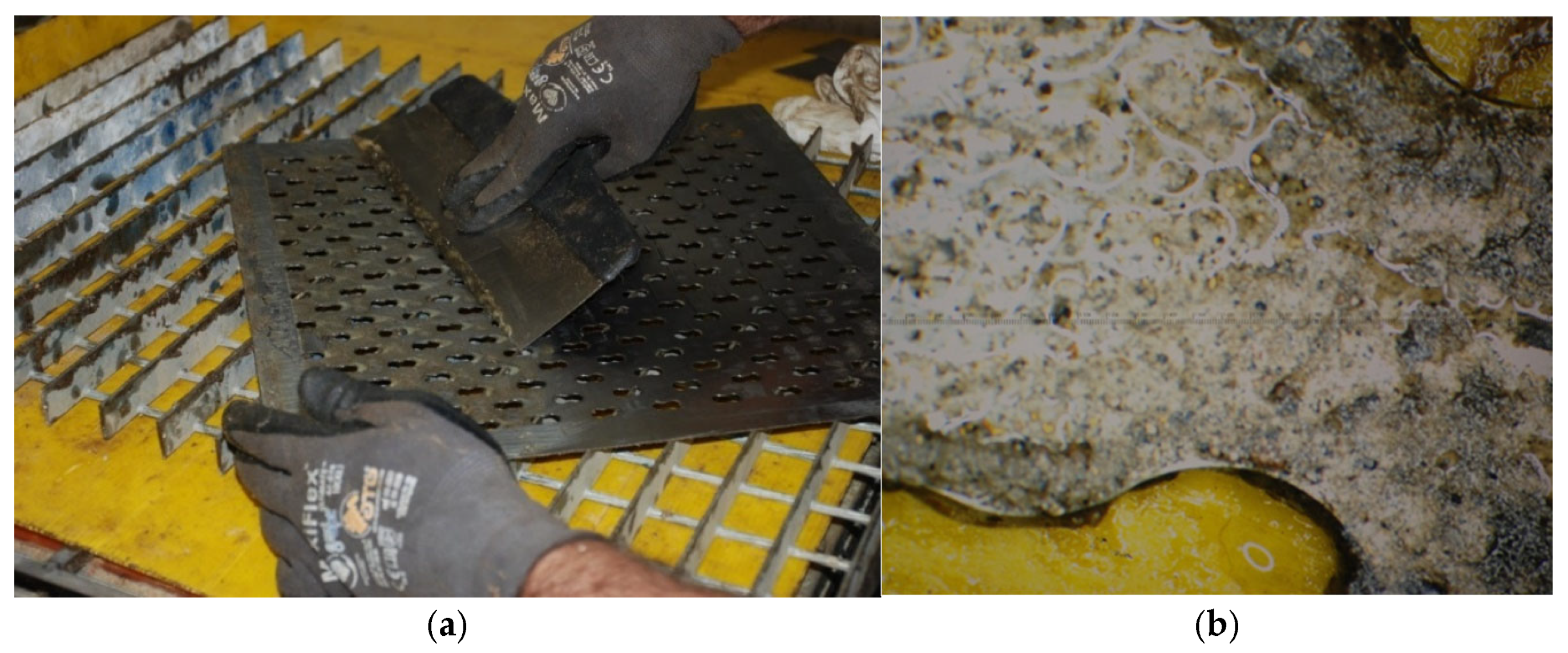 Minerals 16 00239 g005