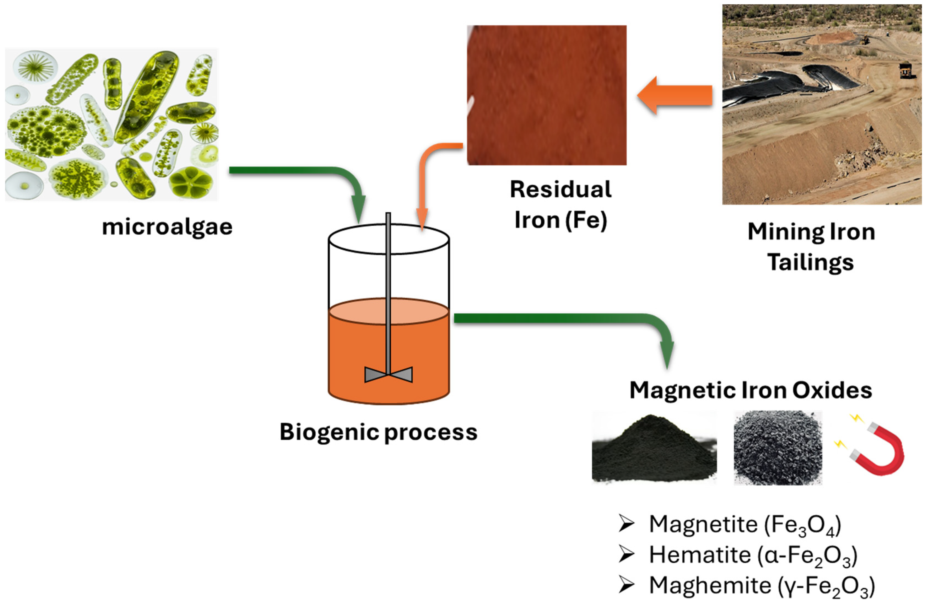 Minerals 16 00241 g001 Minerals 16 00241 g001