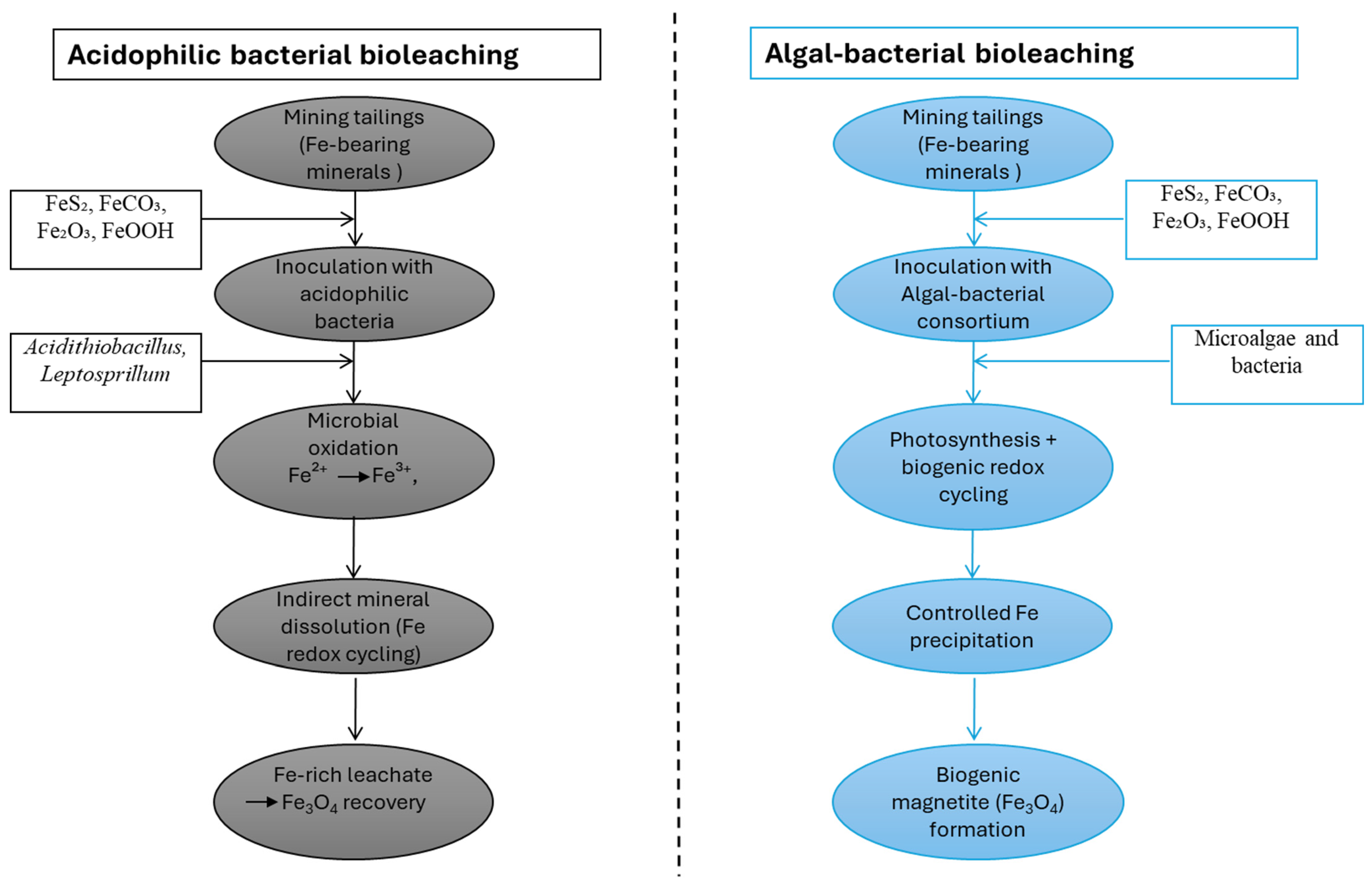 Minerals 16 00241 g002 Minerals 16 00241 g002