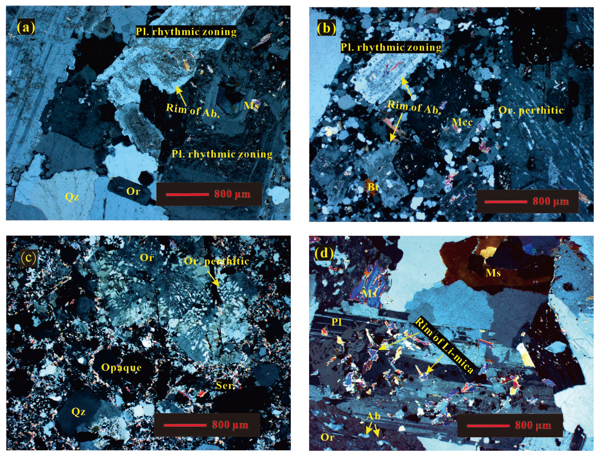 Minerals 16 00262 g002