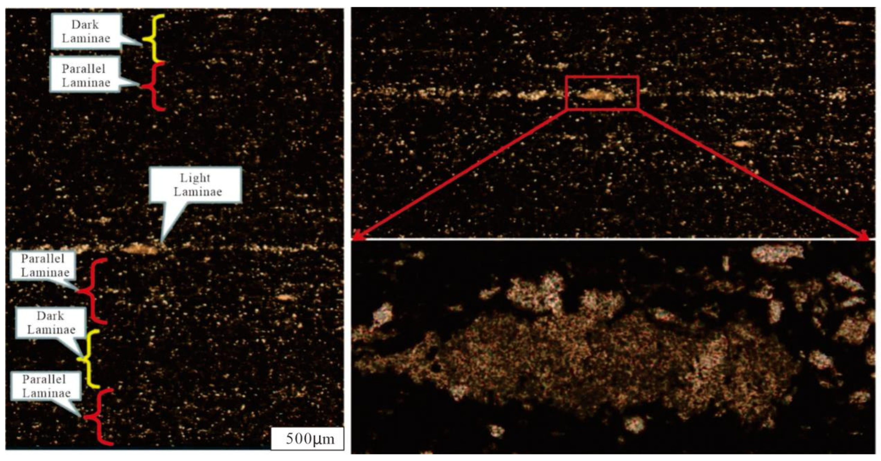 Minerals 16 00290 g005