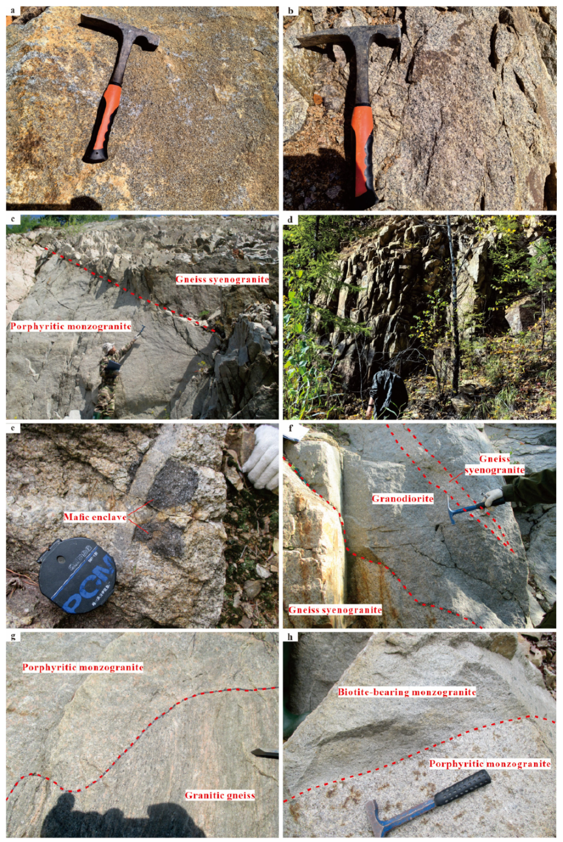 Minerals 16 00305 g002 Minerals 16 00305 g002