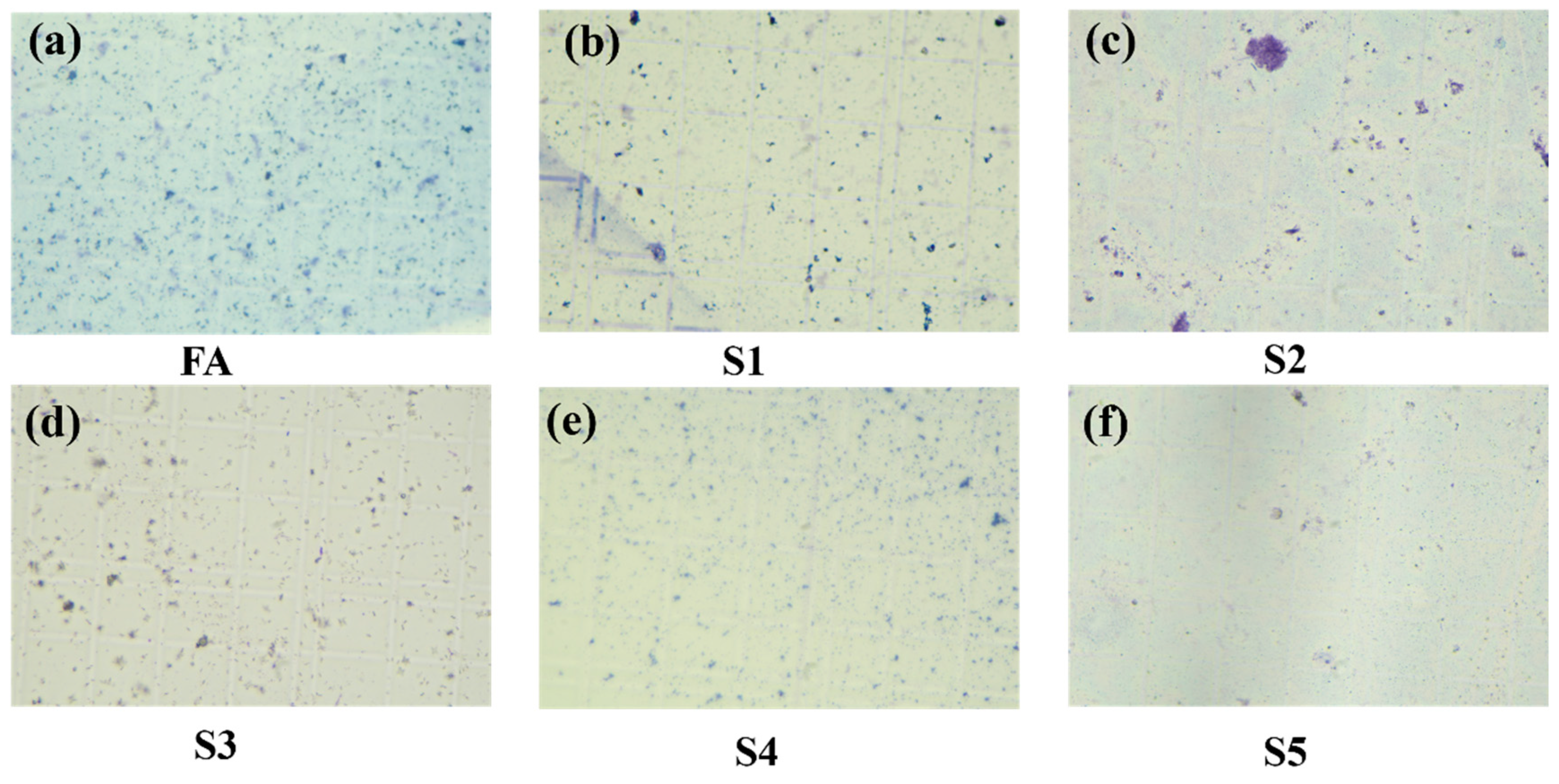 Minerals 16 00322 g010 Minerals 16 00322 g010