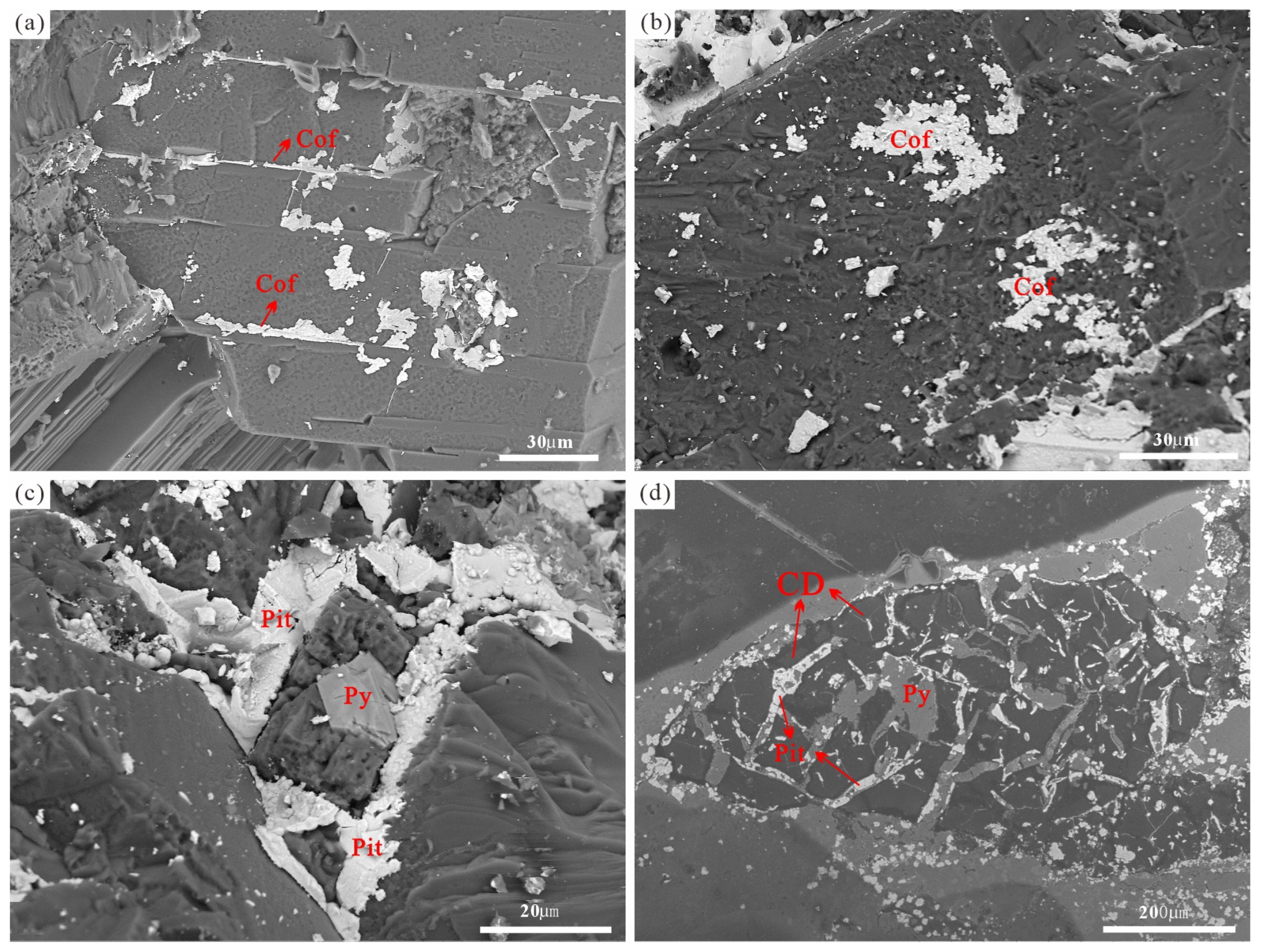 Minerals 16 00357 g005 Minerals 16 00357 g005
