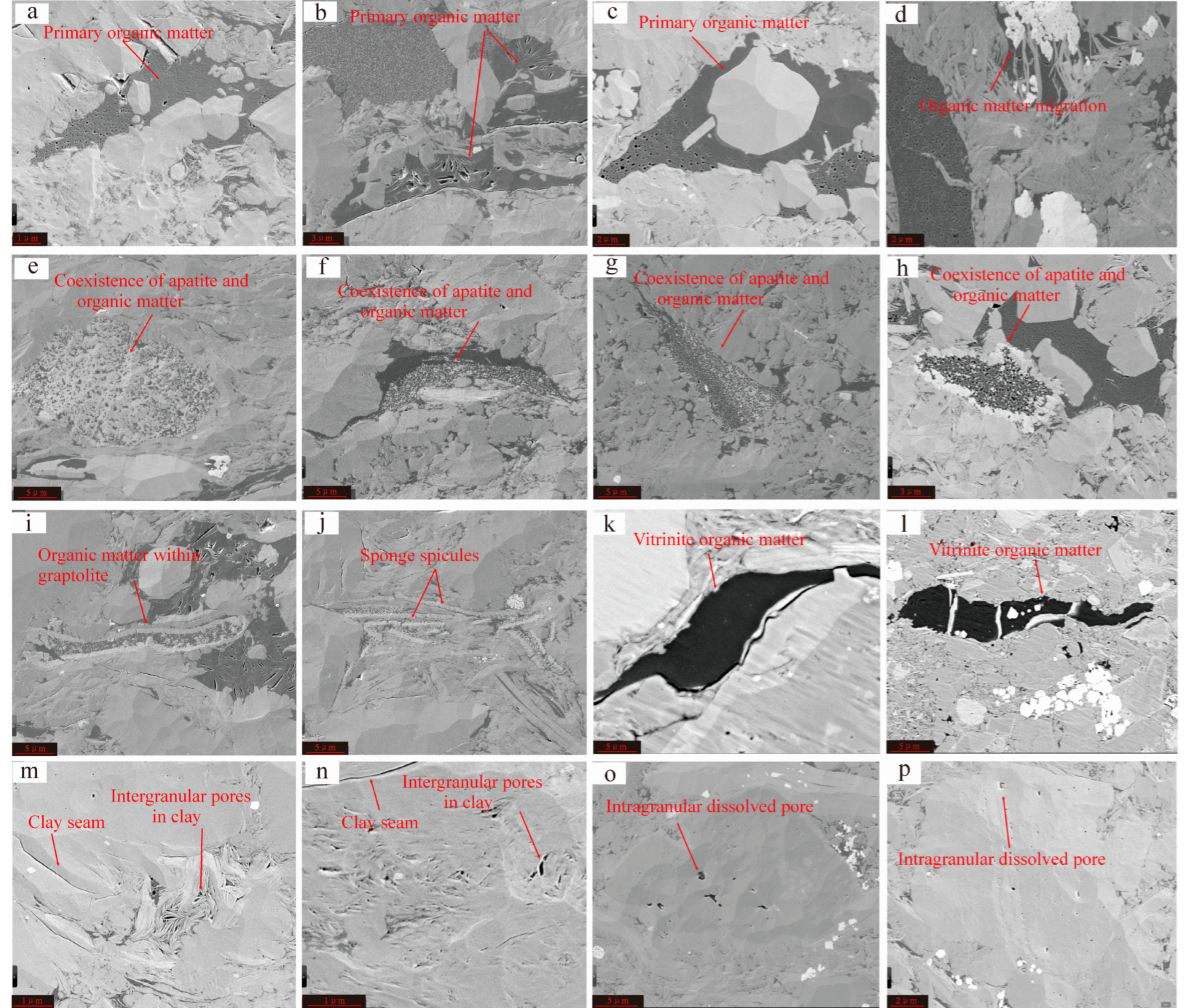 Minerals 16 00366 g005 Minerals 16 00366 g005