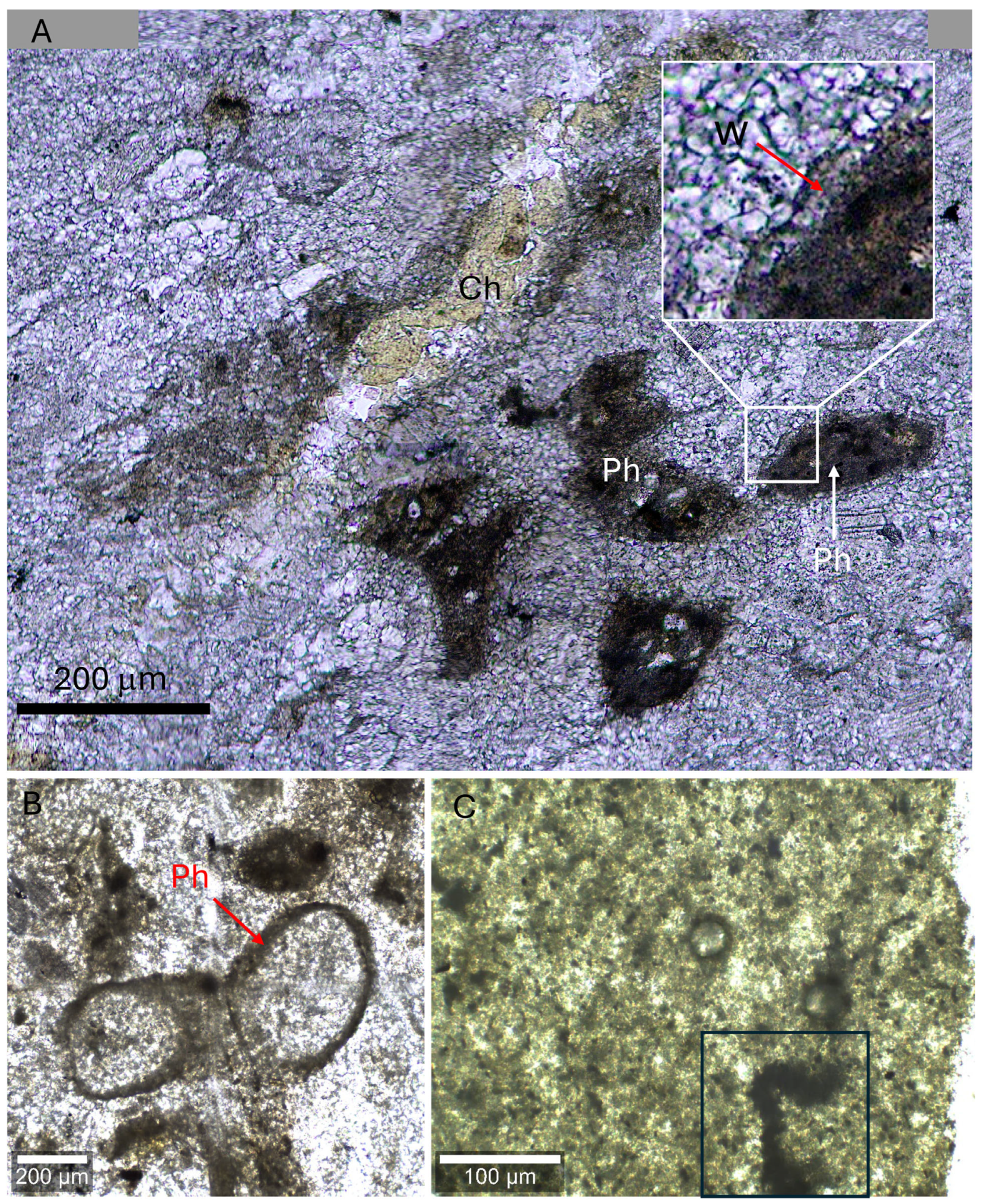 Minerals 16 00405 g003 Minerals 16 00405 g003