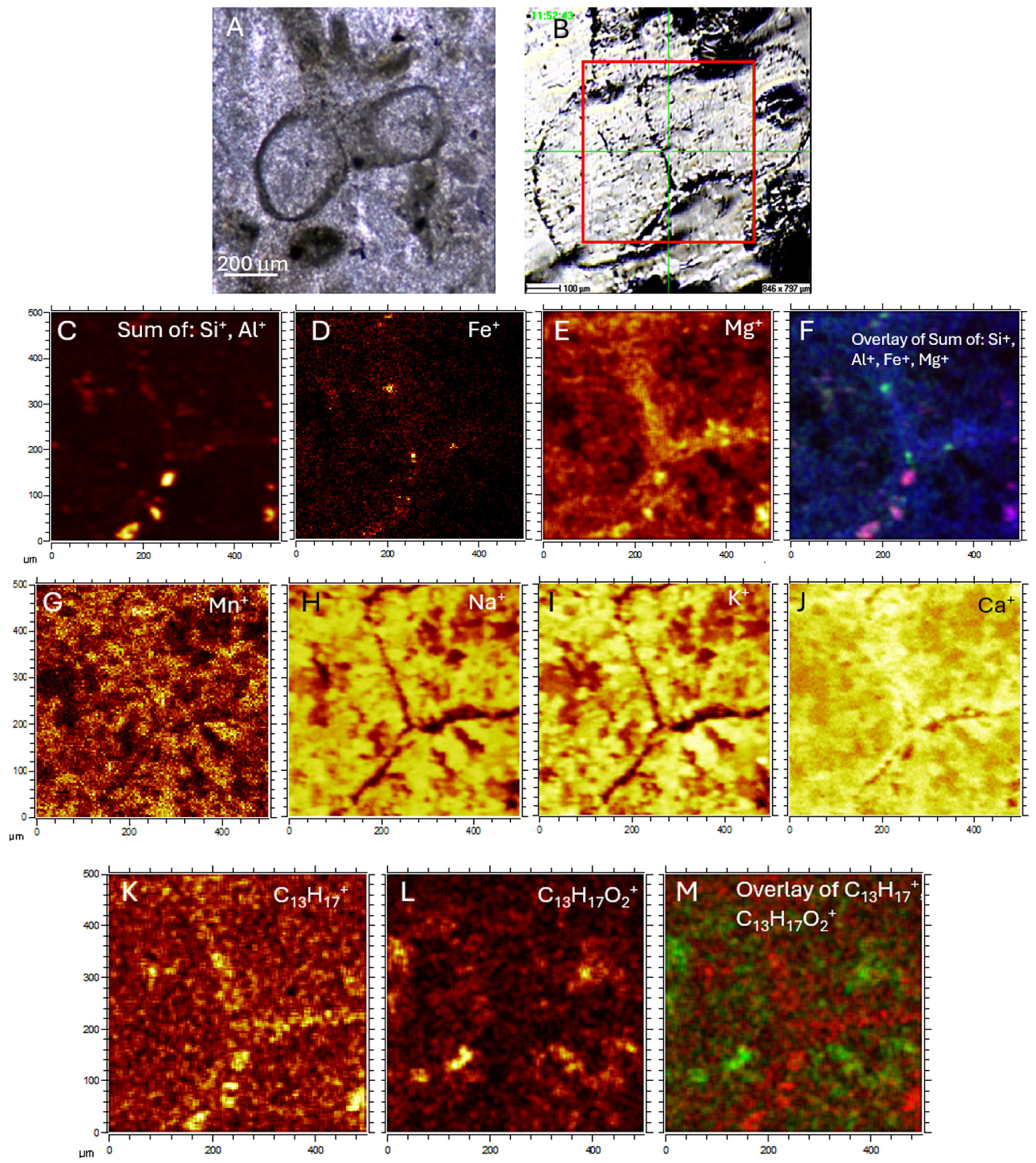 Minerals 16 00405 g014 Minerals 16 00405 g014