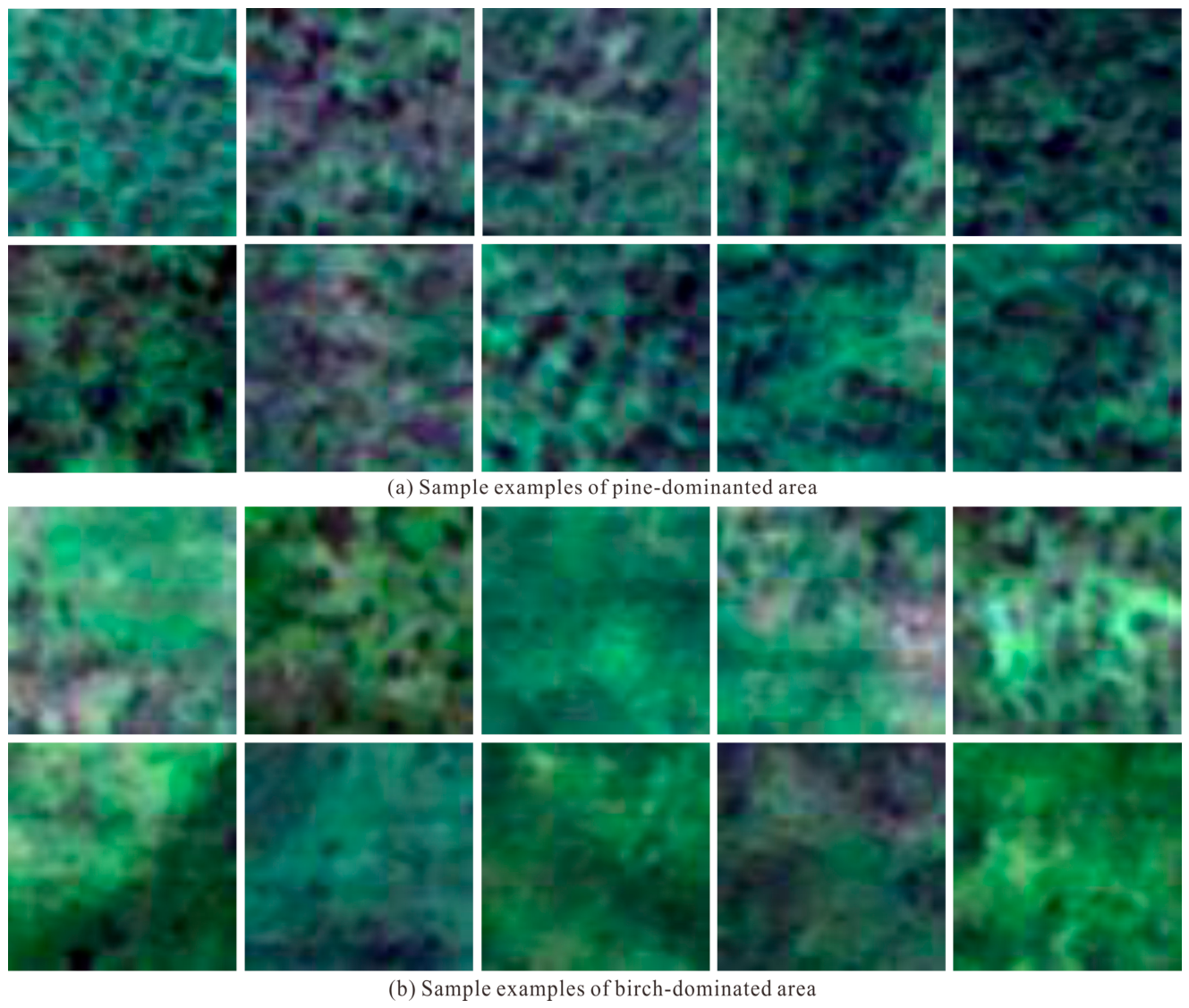 Minerals 16 00422 g011 Minerals 16 00422 g011