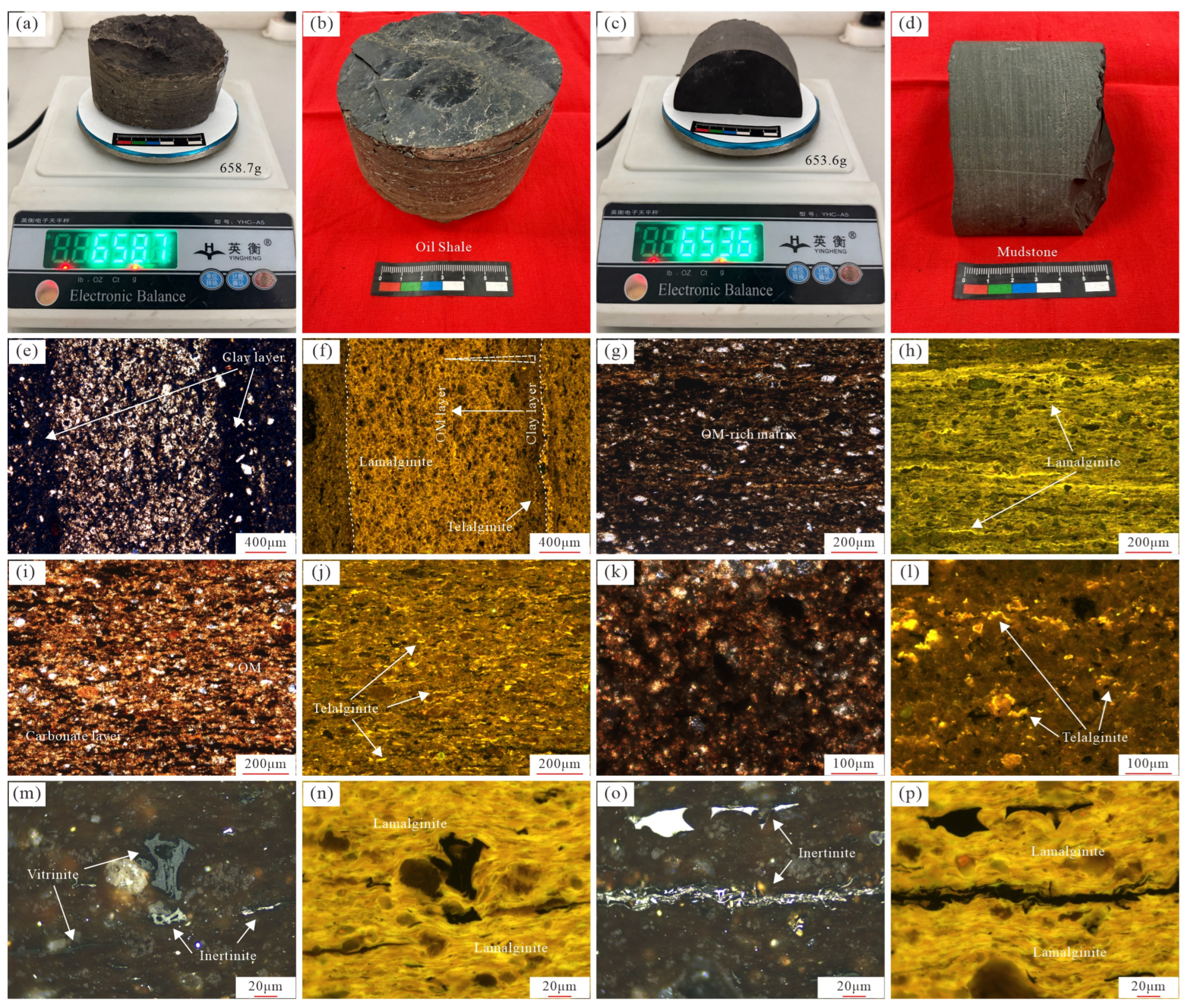 Minerals 16 00425 g005 Minerals 16 00425 g005