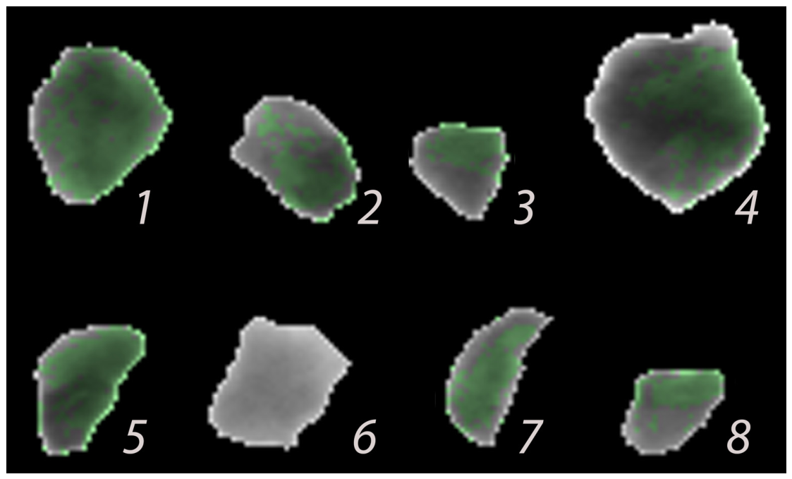 Minerals 16 00605 g008 Minerals 16 00605 g008