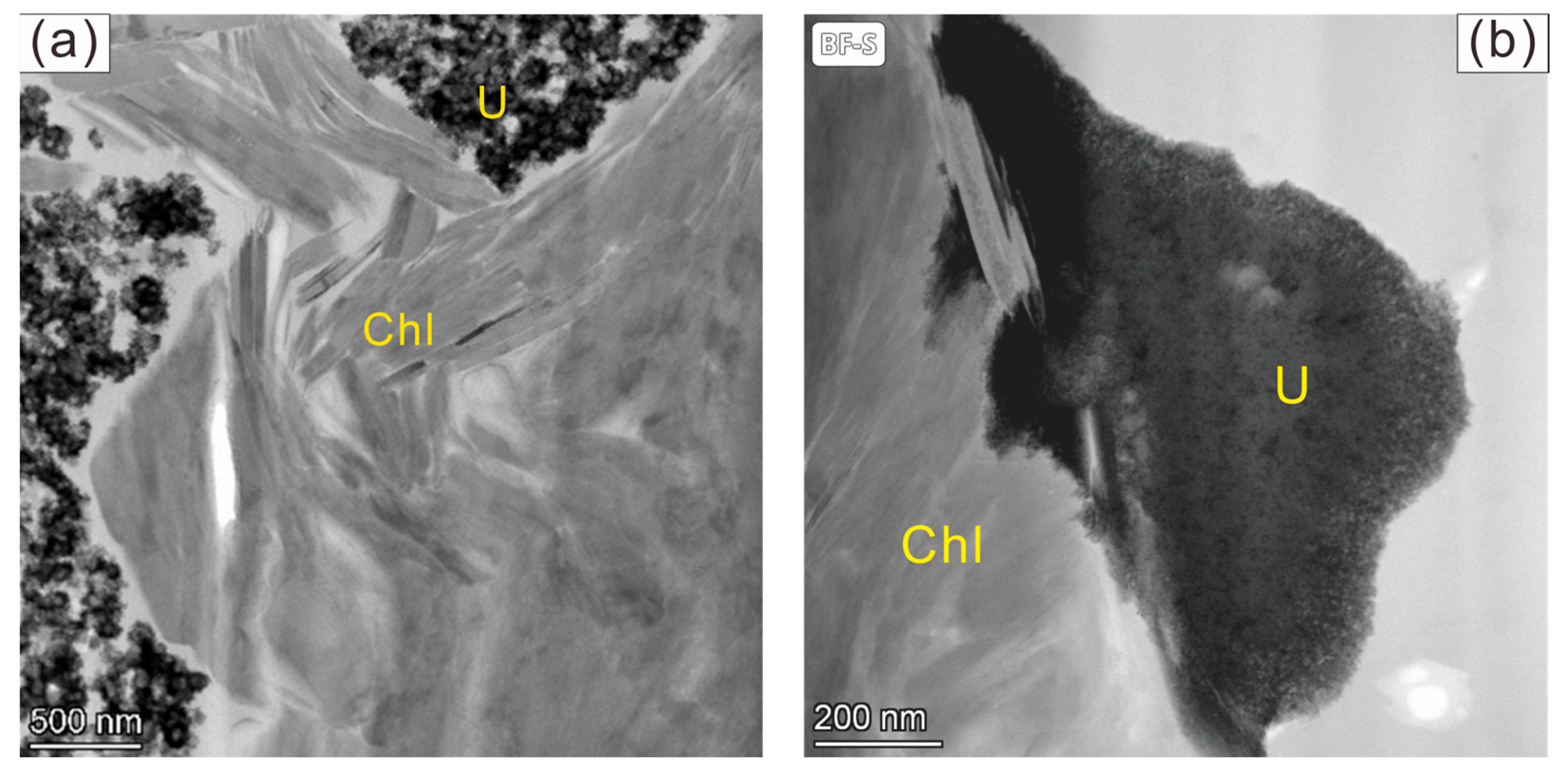 Minerals 16 00633 g009 Minerals 16 00633 g009