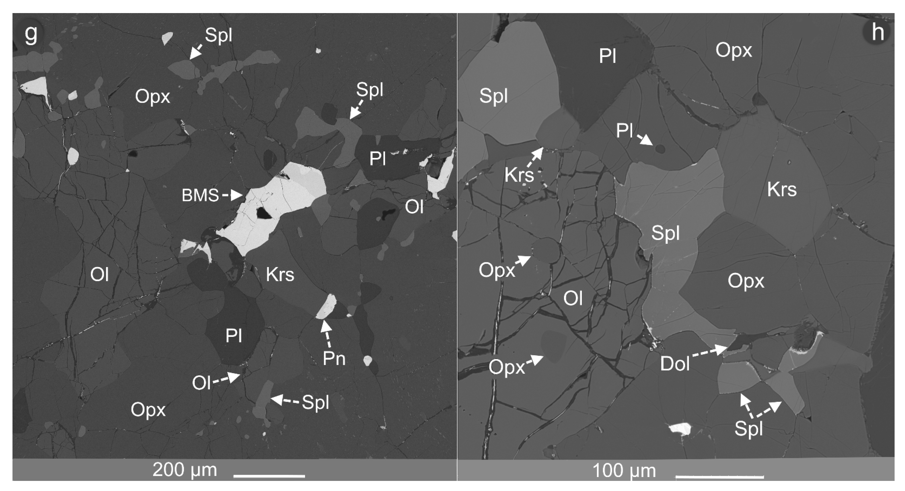 Minerals 16 00665 g007b Minerals 16 00665 g007b