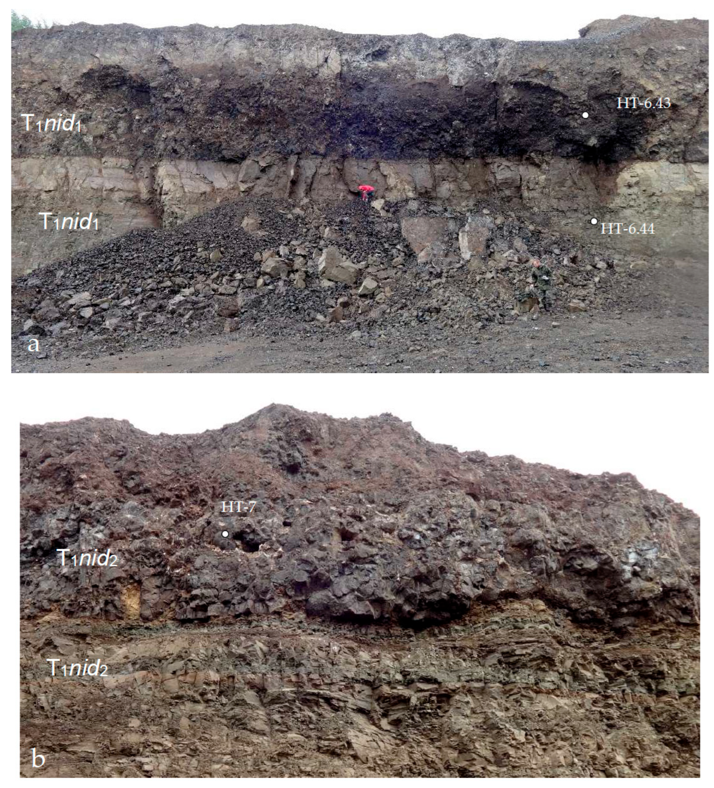 Minerals 16 00854 g013 Minerals 16 00854 g013