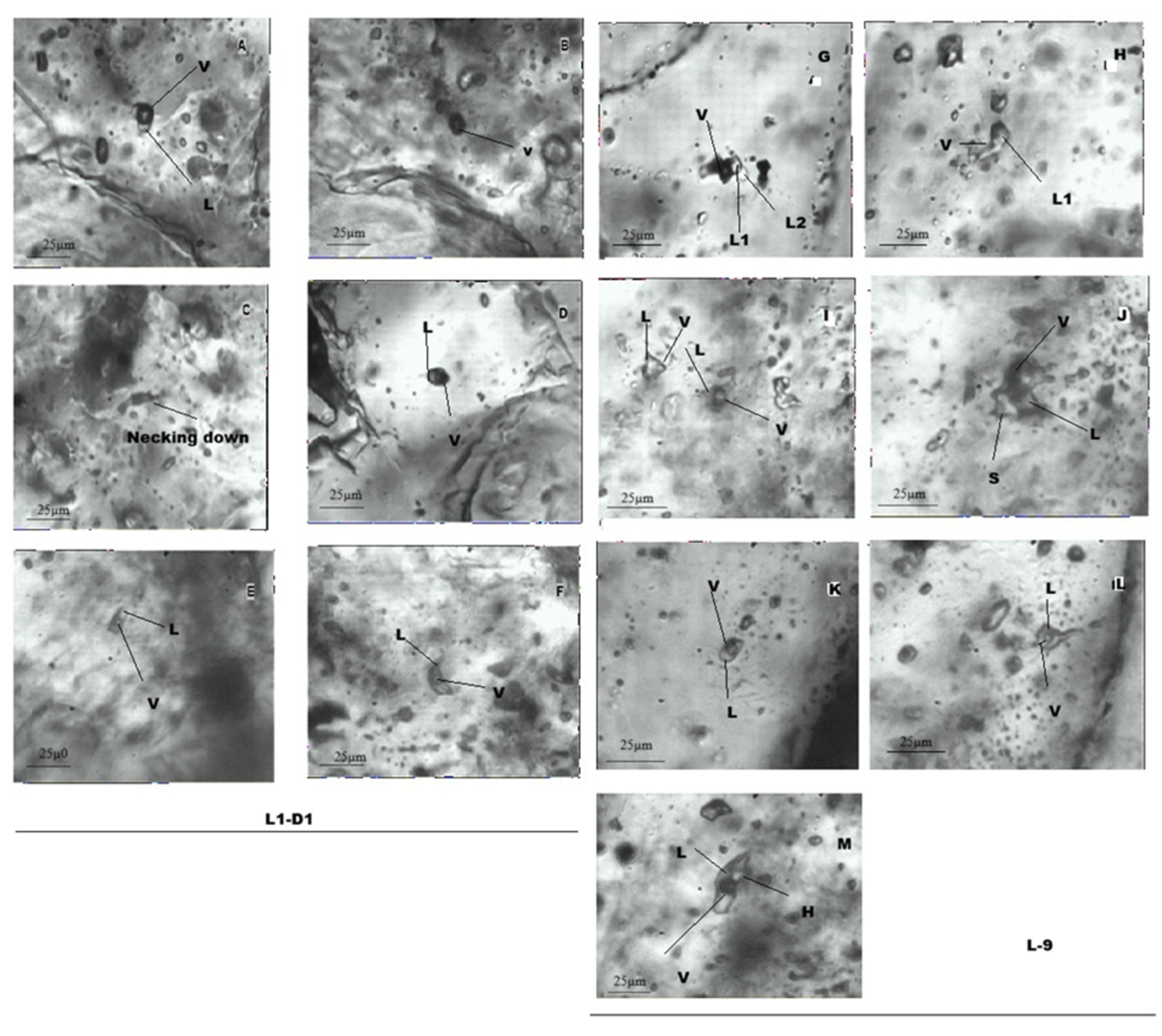 Minerals 16 01015 g008 Minerals 16 01015 g008