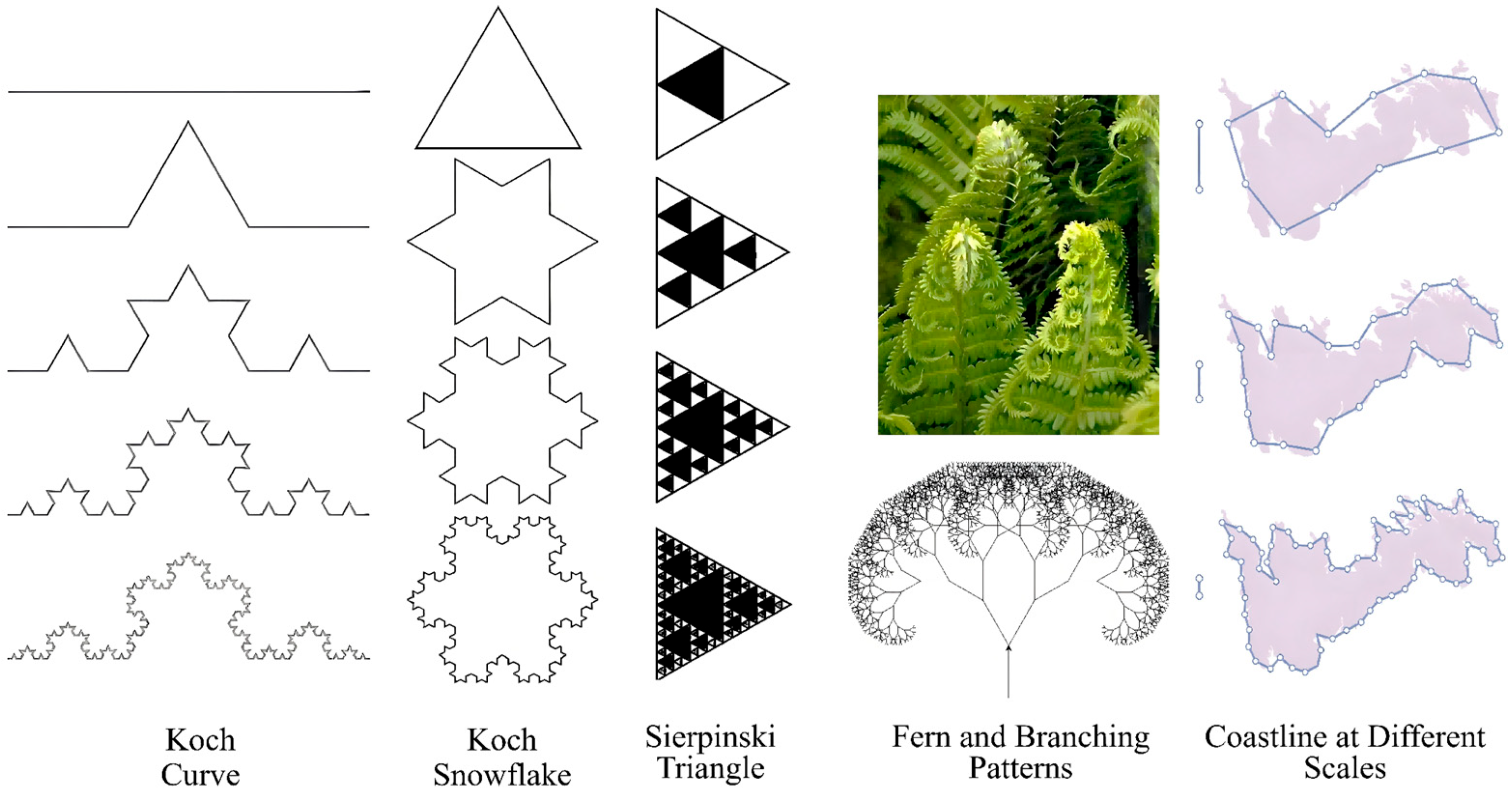 Fractal Theory in Mineral Processing: Advances in Analyzing the ...
