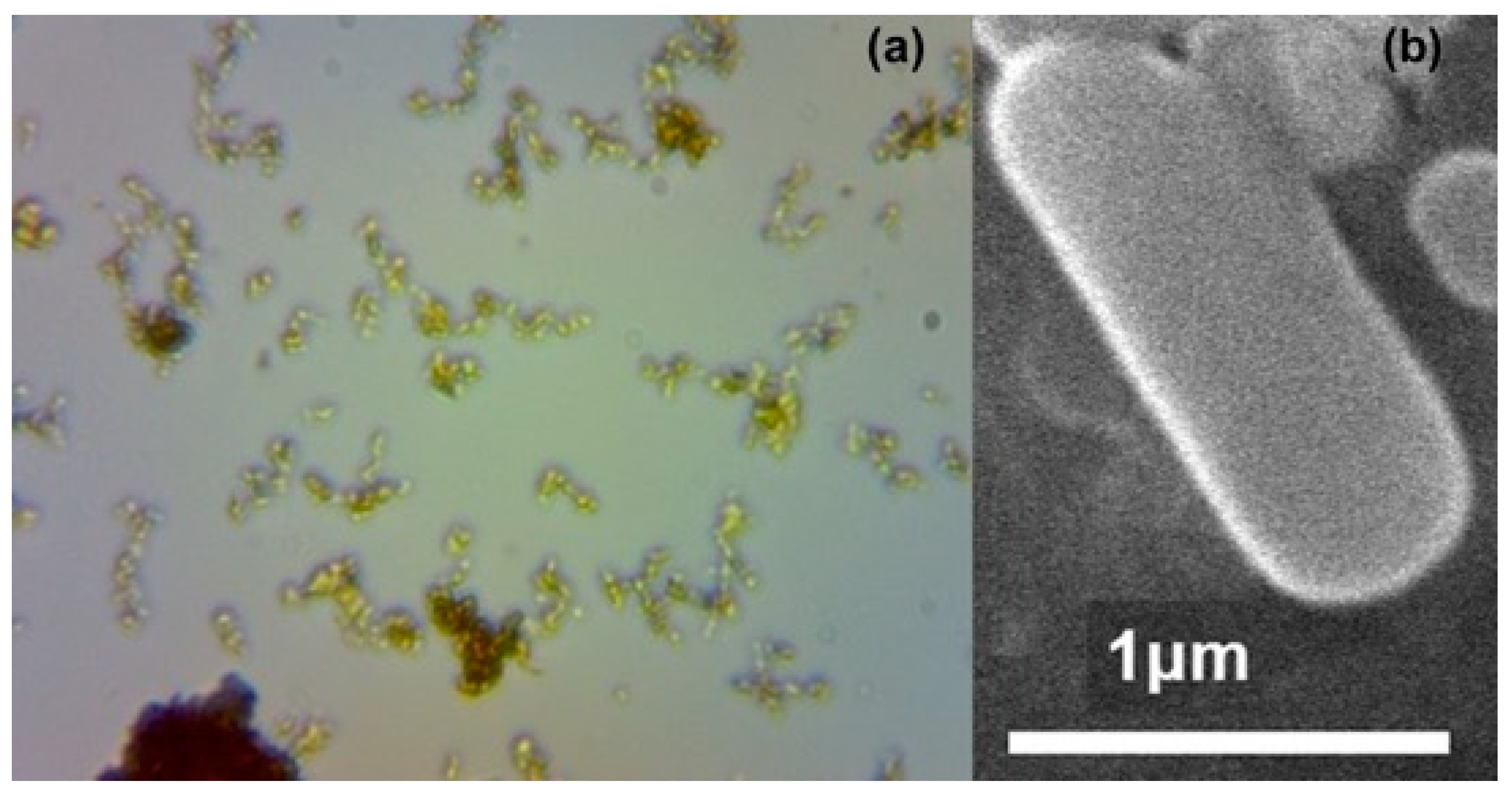 Mining 01 00021 g001