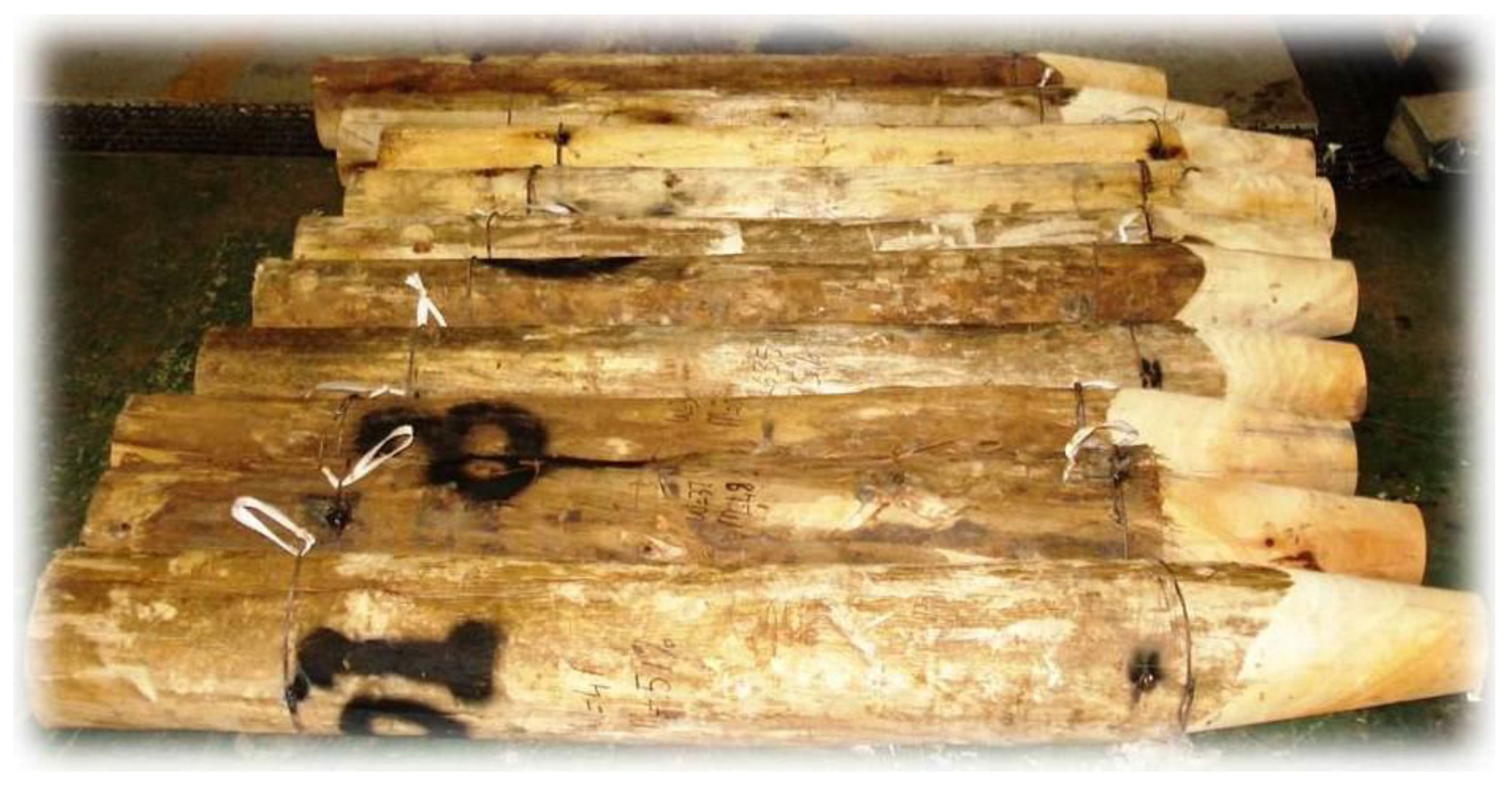 Mining 01 00023 g010