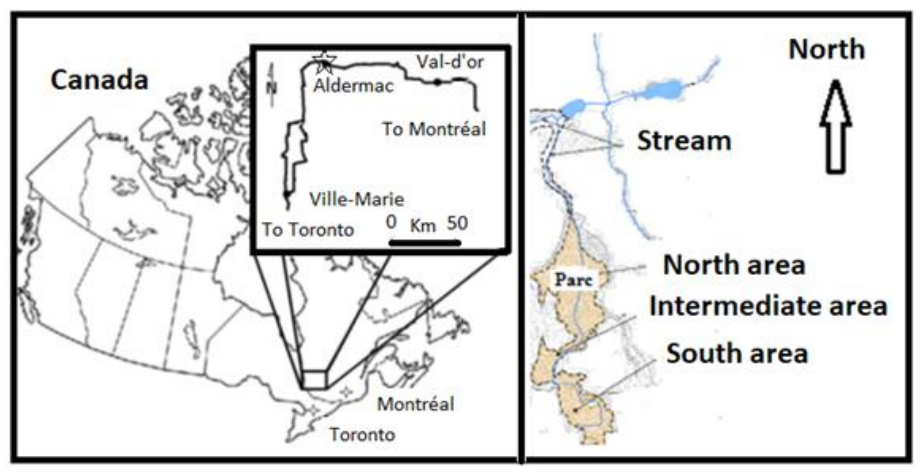 Mining 02 00005 g001
