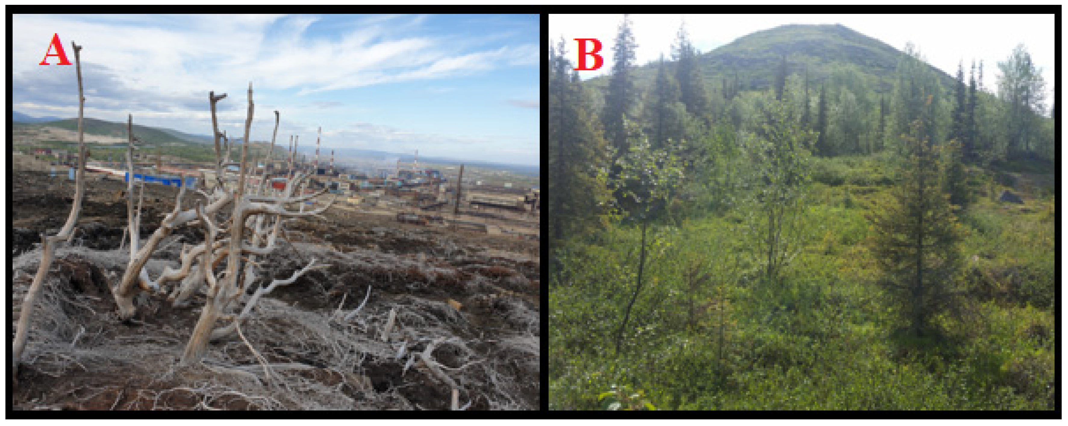 Mining 02 00037 g006