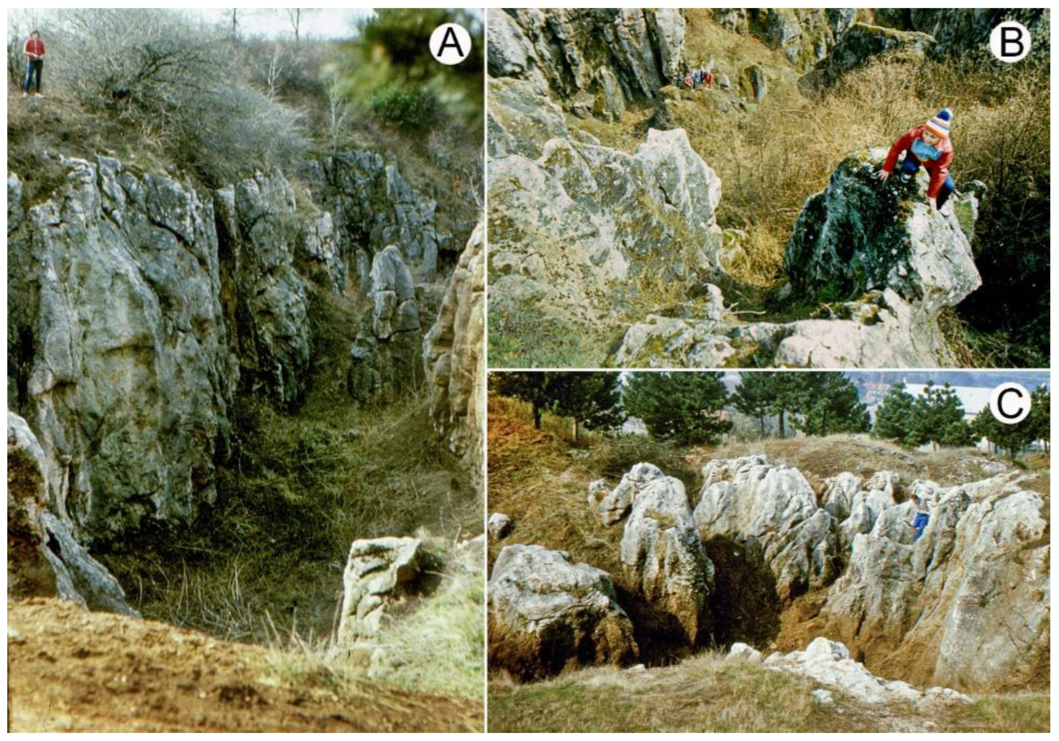 Mining 02 00042 g003