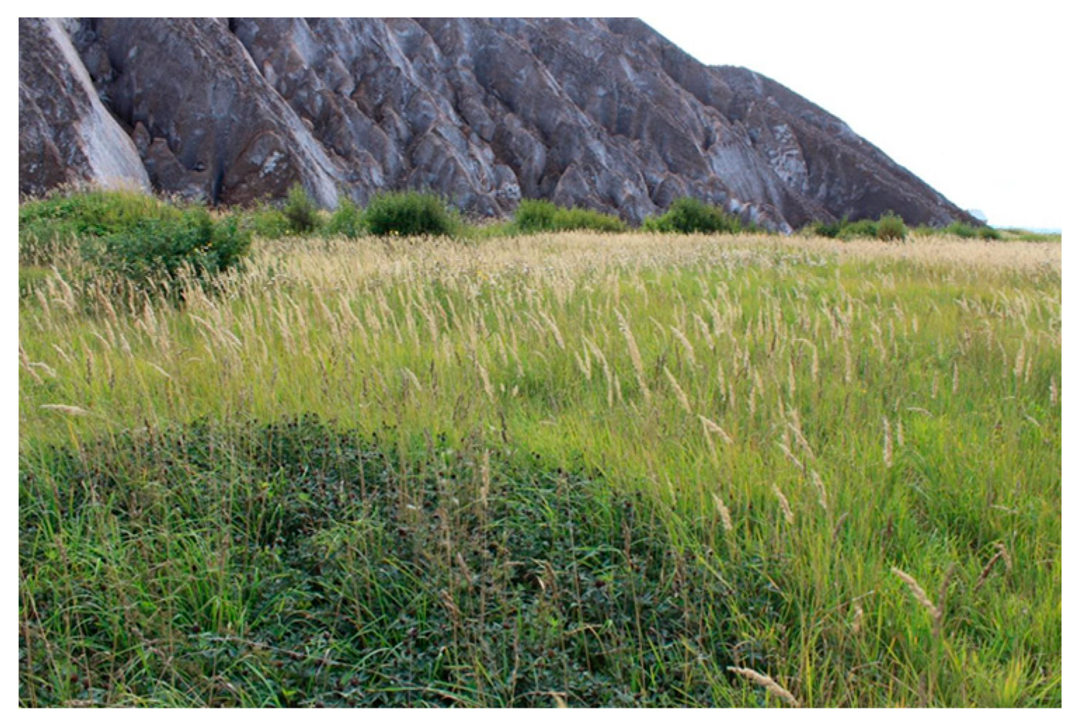 Mining 03 00011 g014