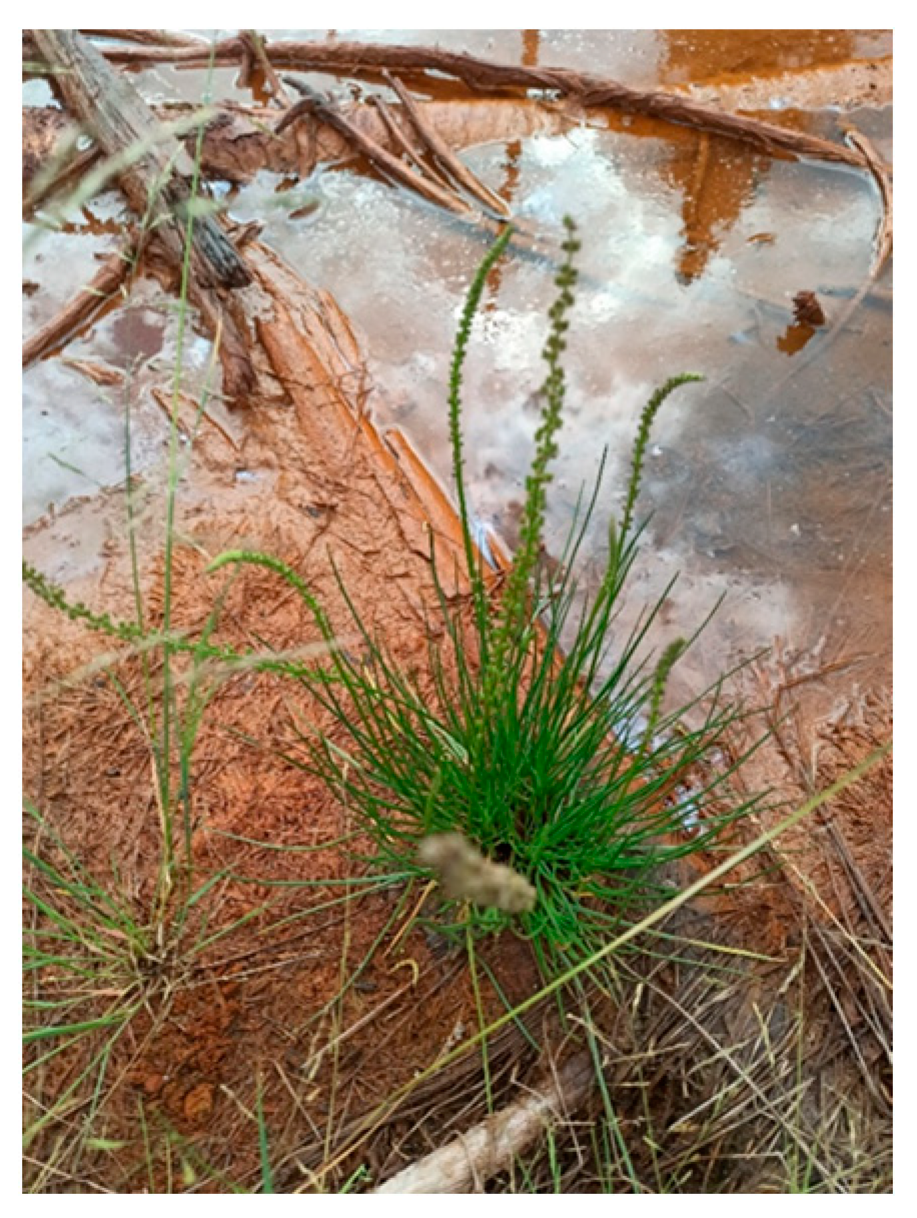 Mining 03 00011 g015