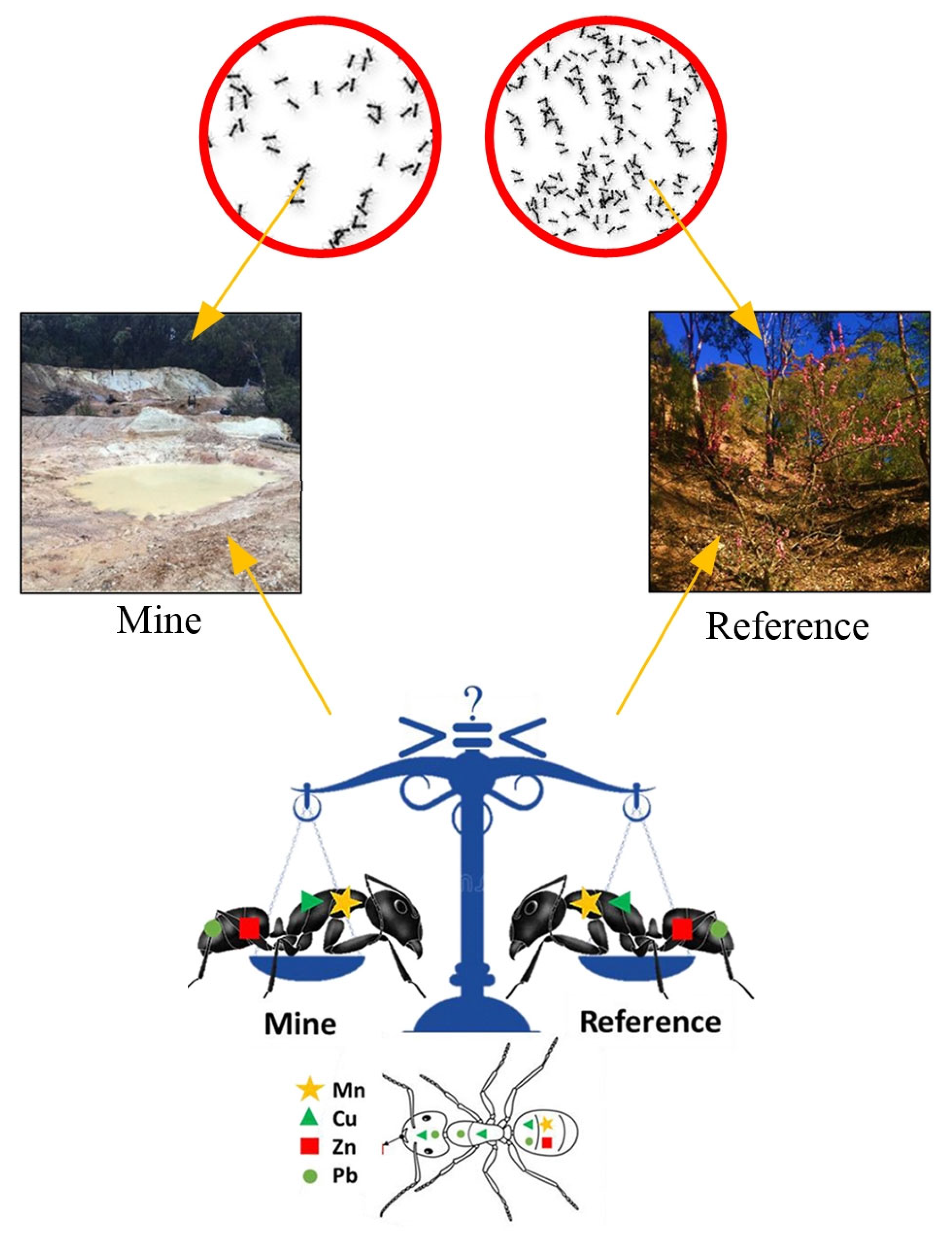 Mining 04 00016 g008