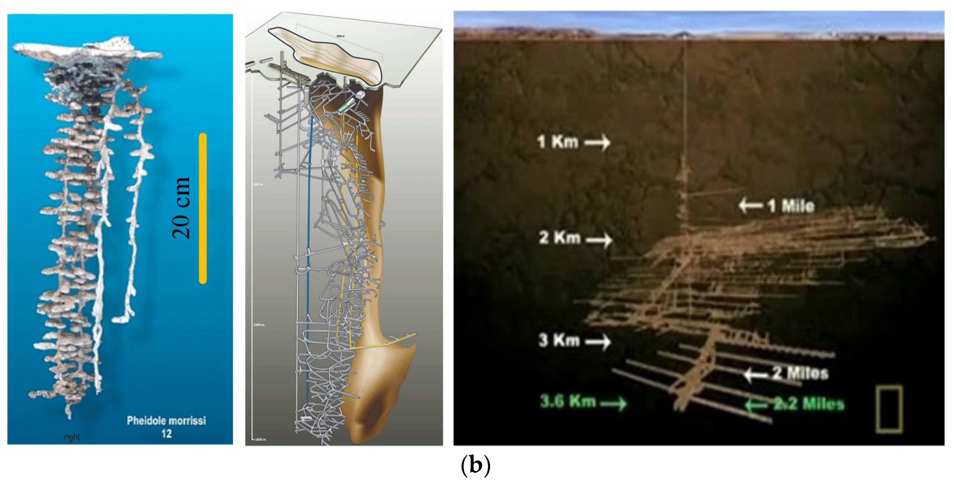 Mining 04 00016 g010b
