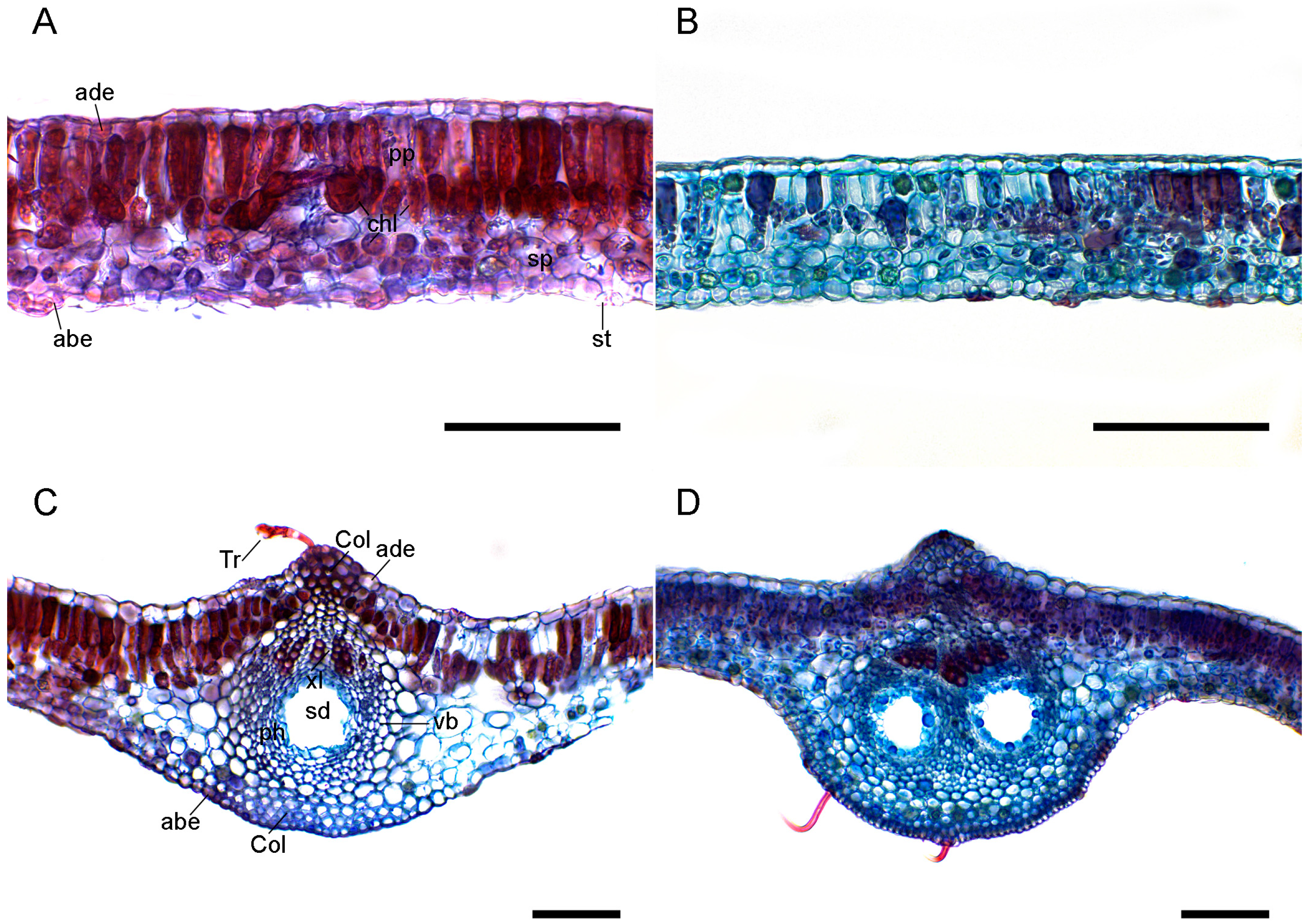 Mining 04 00040 g004