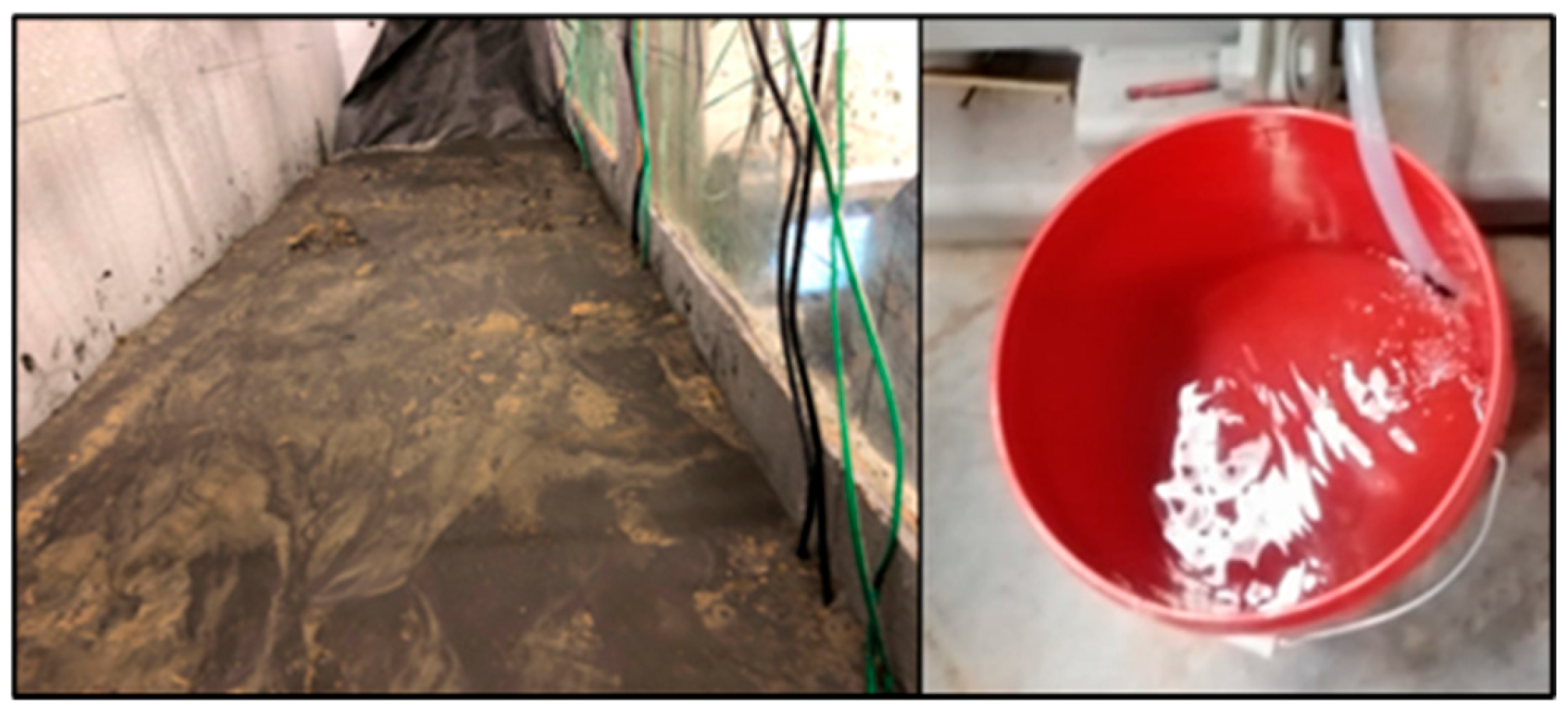 Mining 04 00047 g026