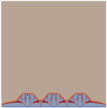 Modelling 04 00018 i004