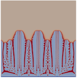 Modelling 04 00018 i005