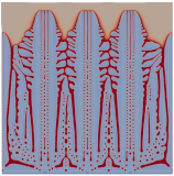 Modelling 04 00018 i006