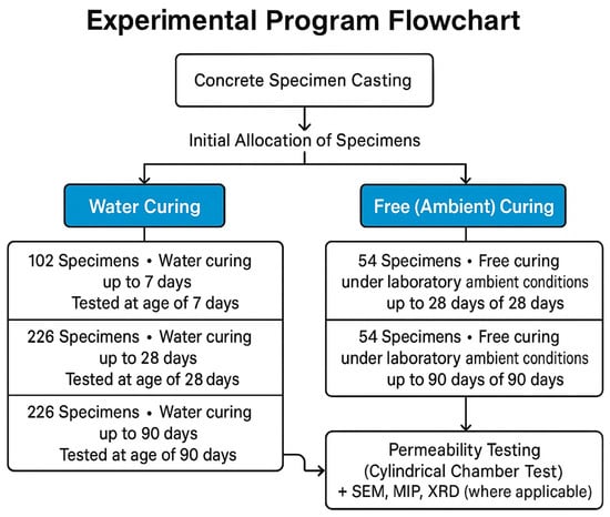 Graphical flowchart of the investigated concrete mixtures and experimental procedure.