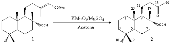 Molbank 2003 m303 i001