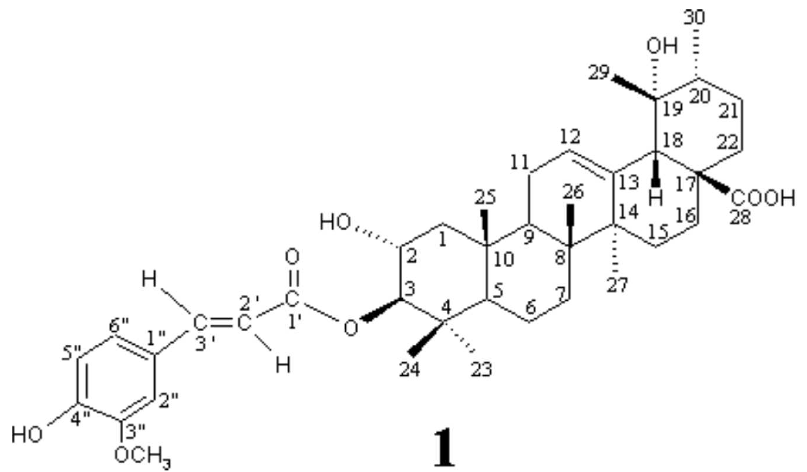 Molbank 2003 m328 i001
