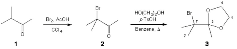 Molbank 2004 m387 i001