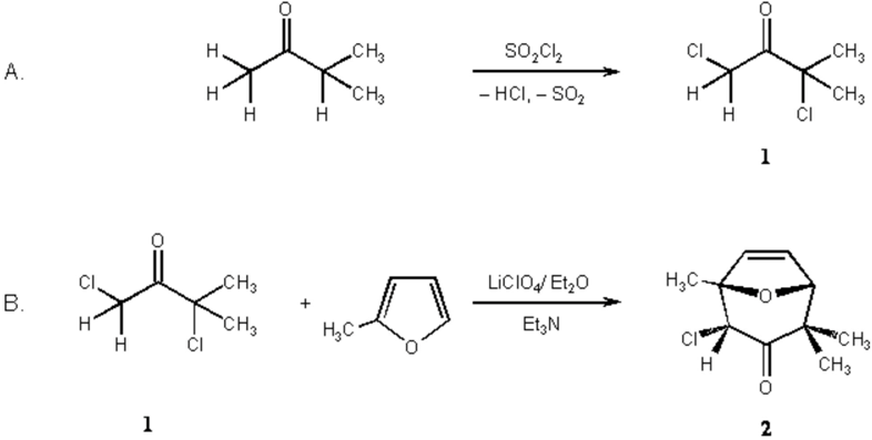 Molbank 2005 m405 i001