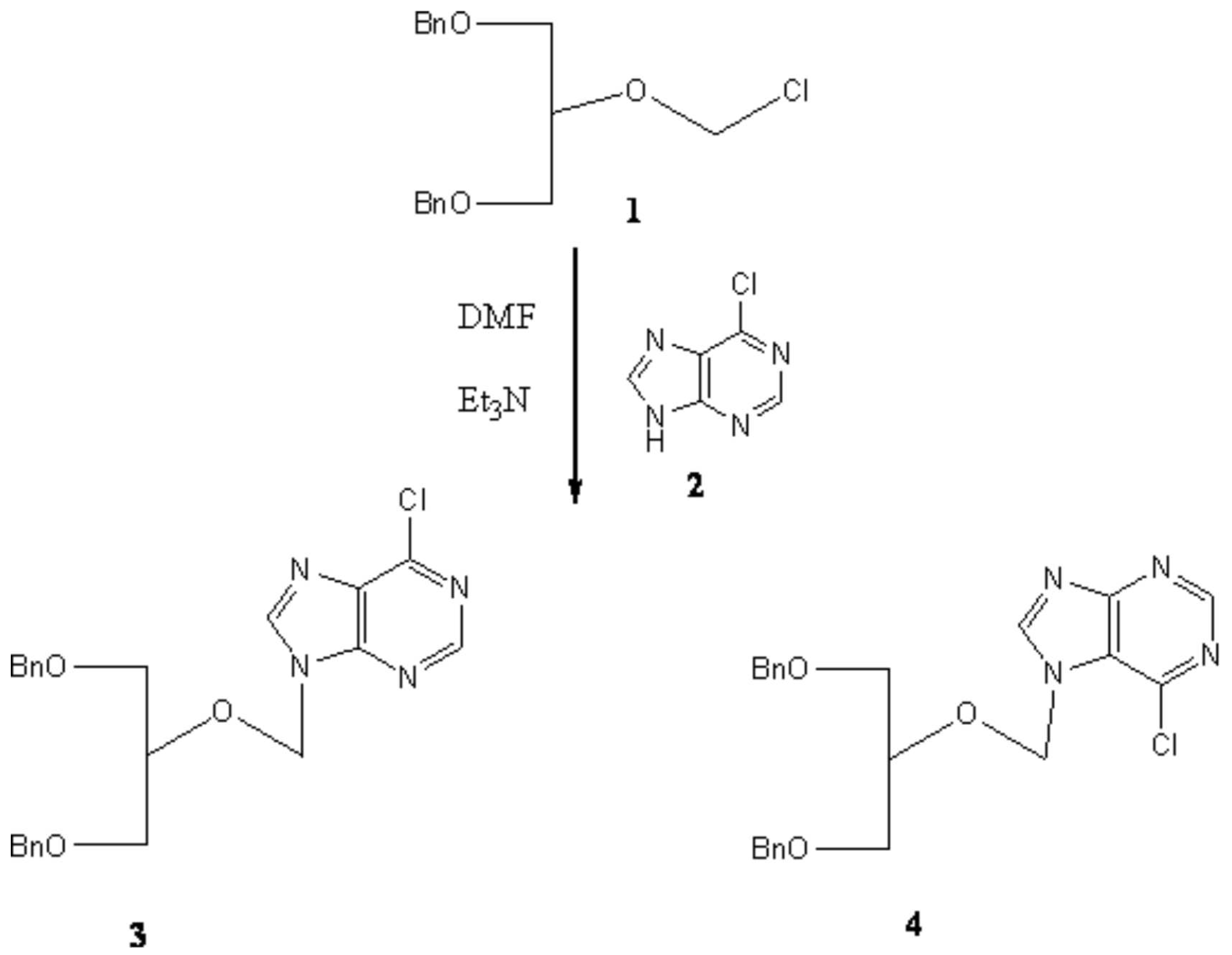 Molbank 2006 m481 sch001