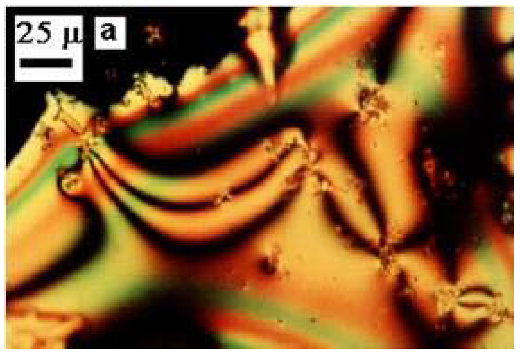 Molbank 2006 m488 g001