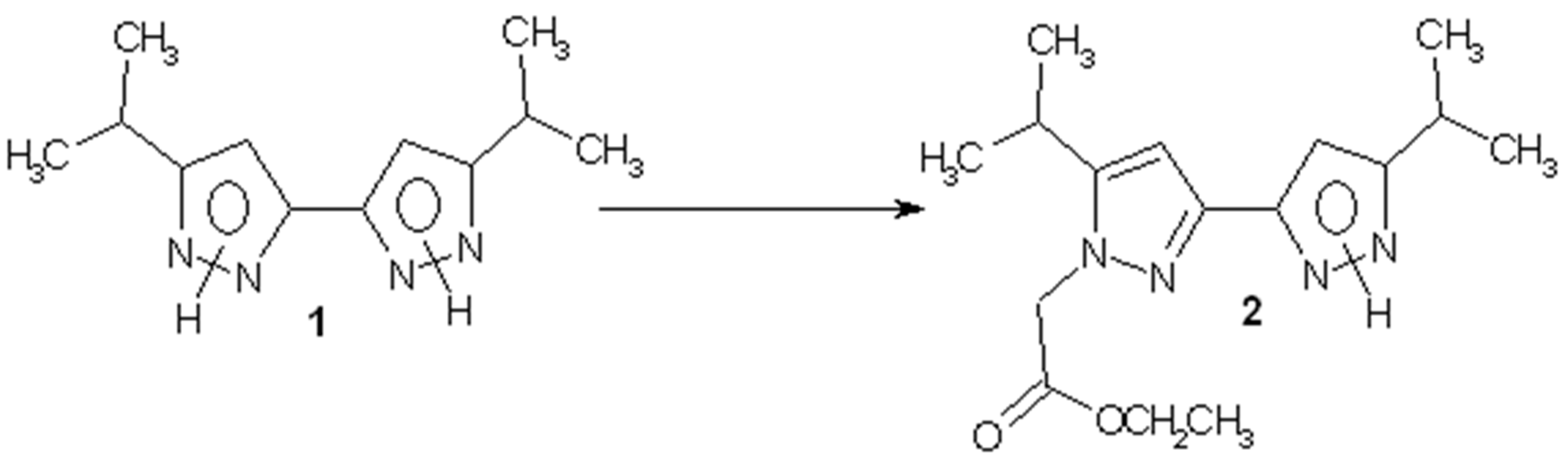 Molbank 2006 m491 i001