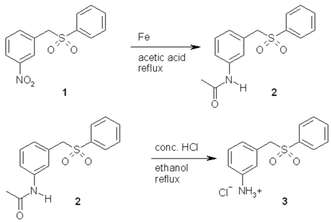 Molbank 2006 m502 i001
