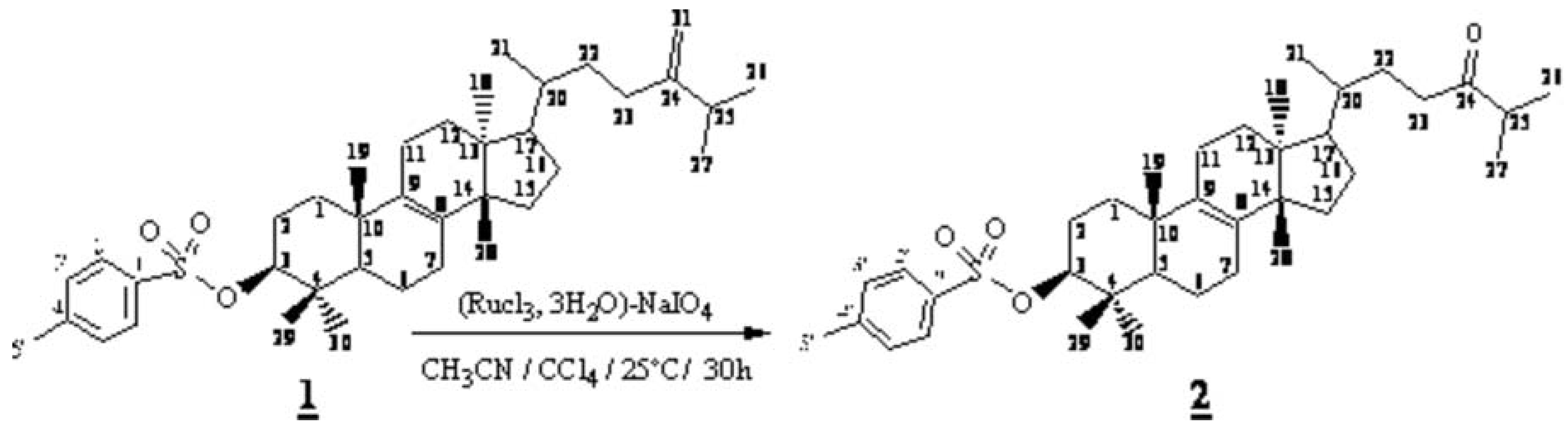 Molbank 2006 m507 i001