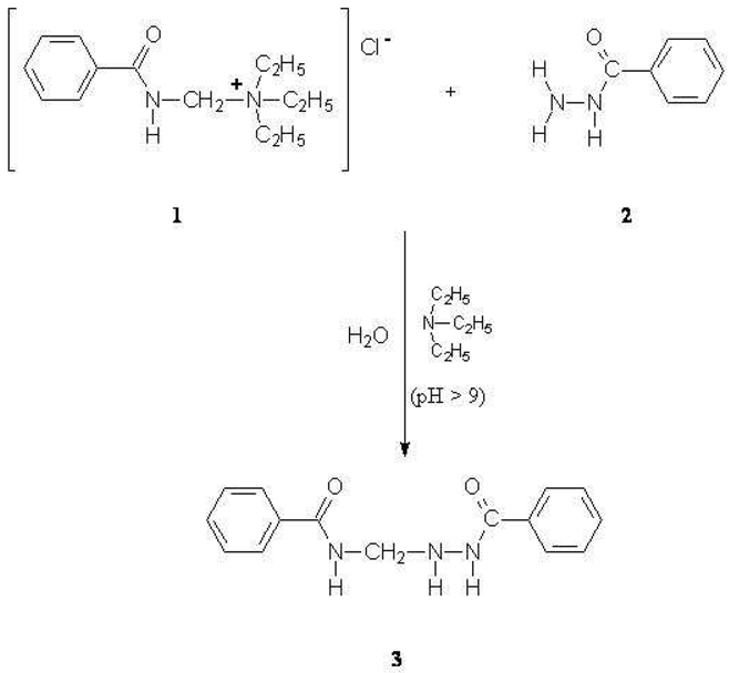 Molbank 2007 m525 i001