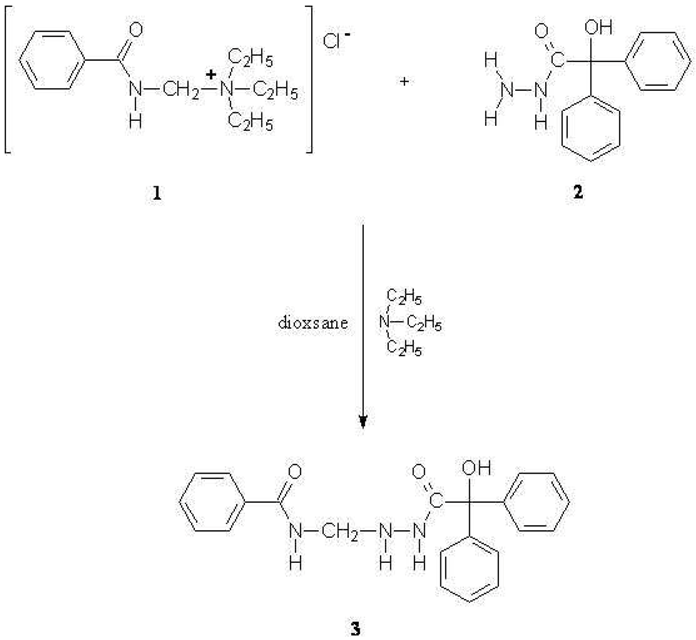 Molbank 2007 m526 i001