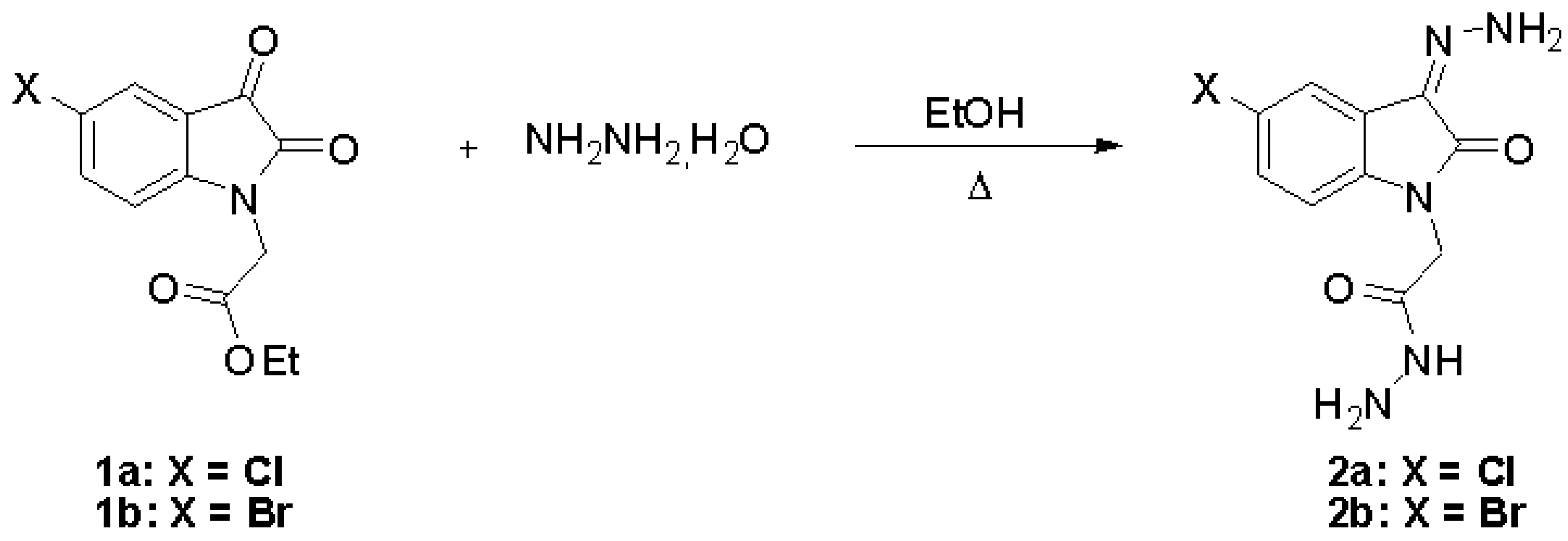 Molbank 2007 m537 i001