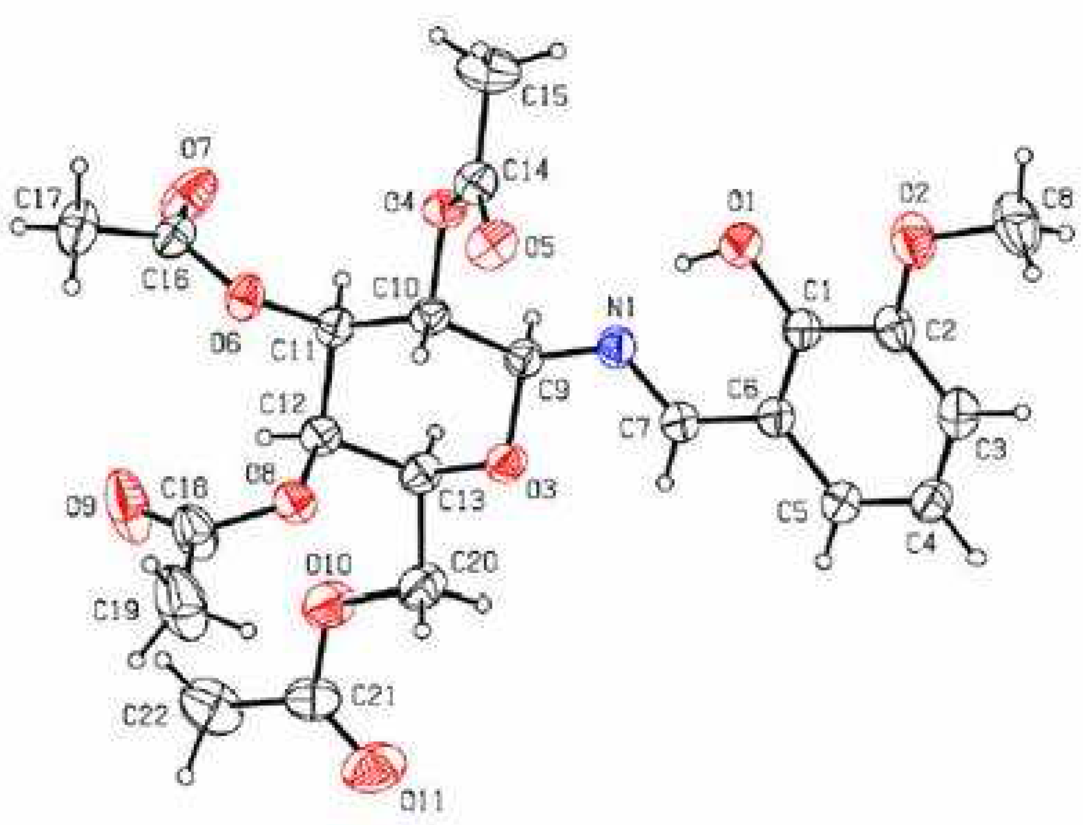 Molbank 2007 m544 g001