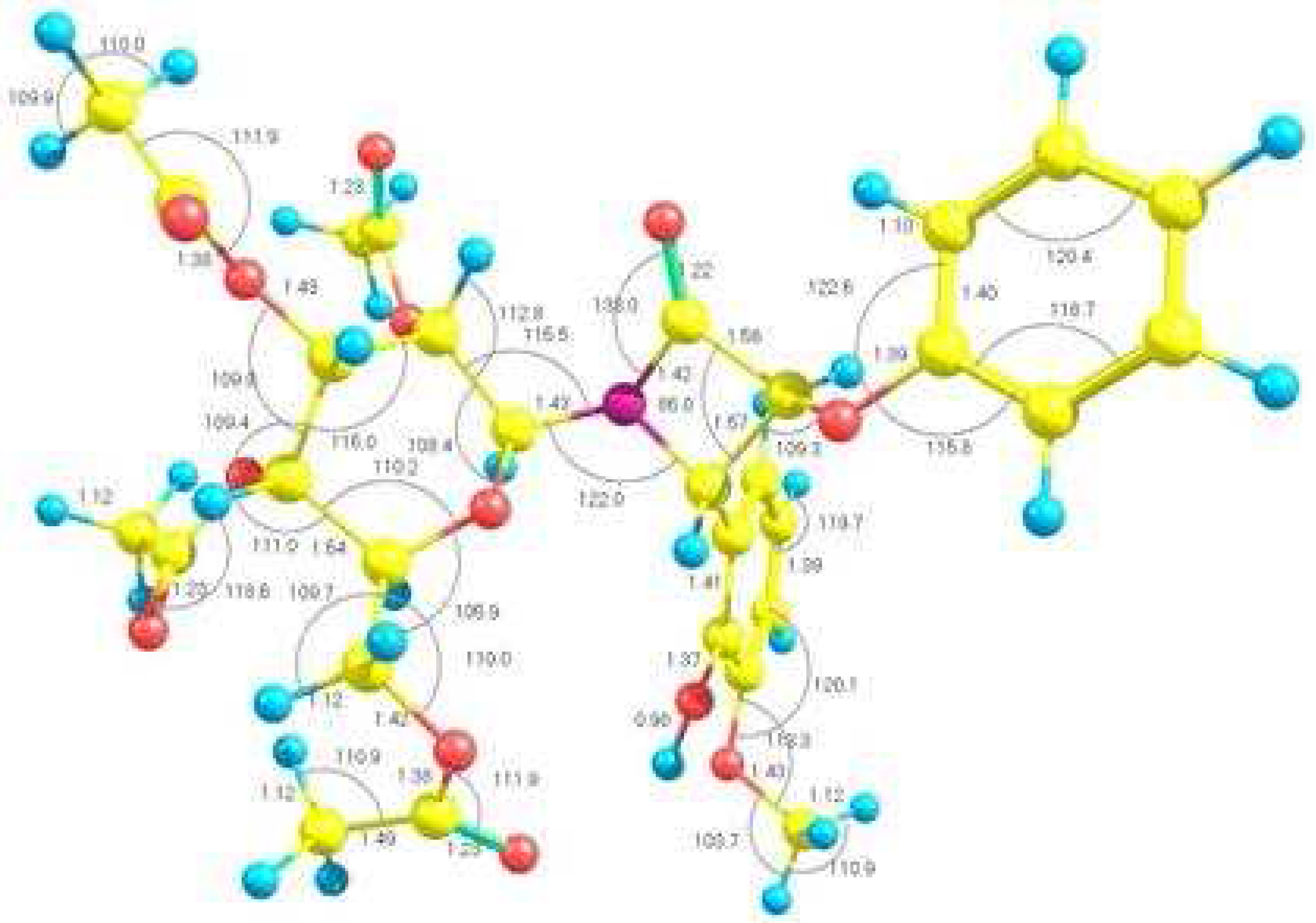 Molbank 2007 m544 g002