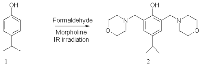 Molbank 2007 m549 i001
