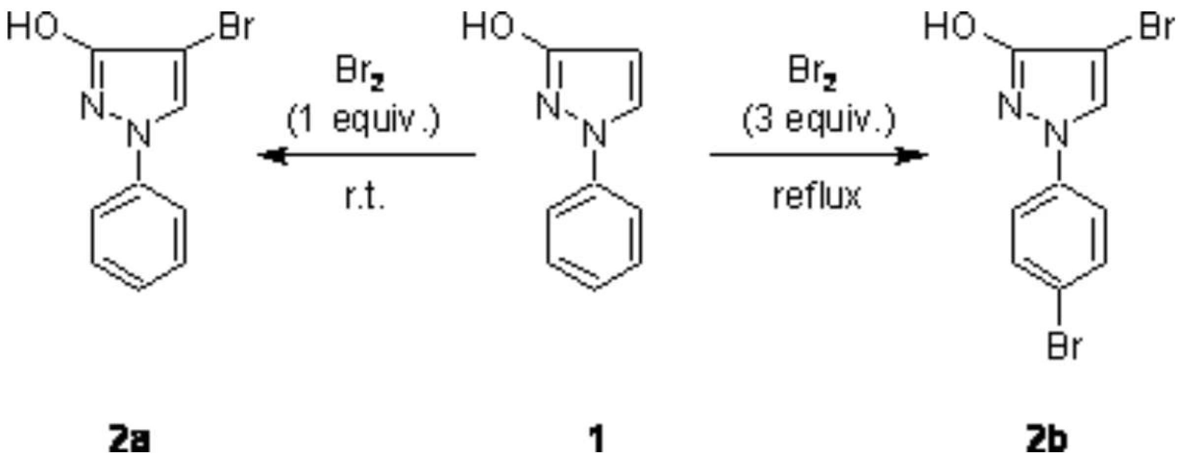 Molbank 2007 m551 sch001